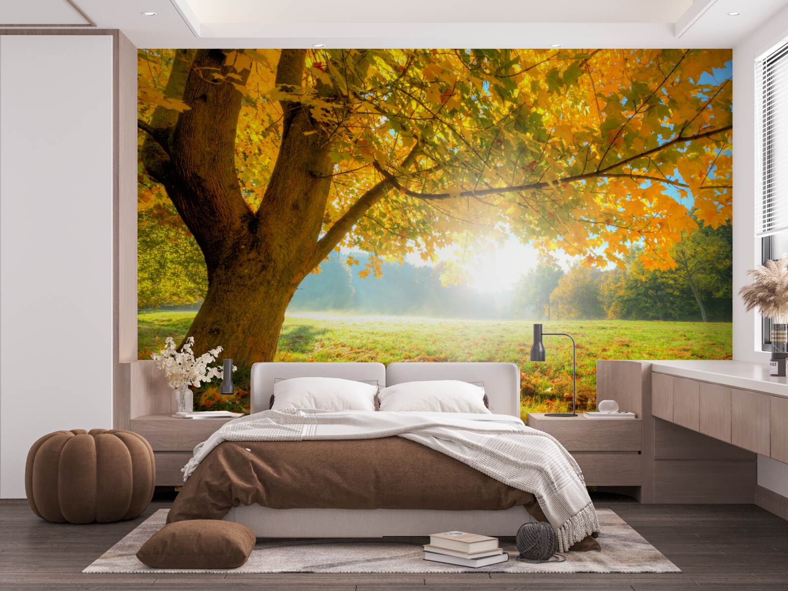 Фотошпалери осінній ліс, освітлений сонцем