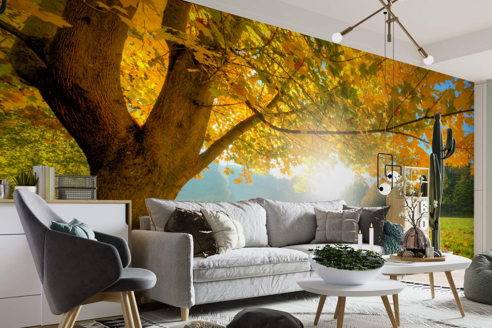 Фотошпалери осінній ліс, освітлений сонцем