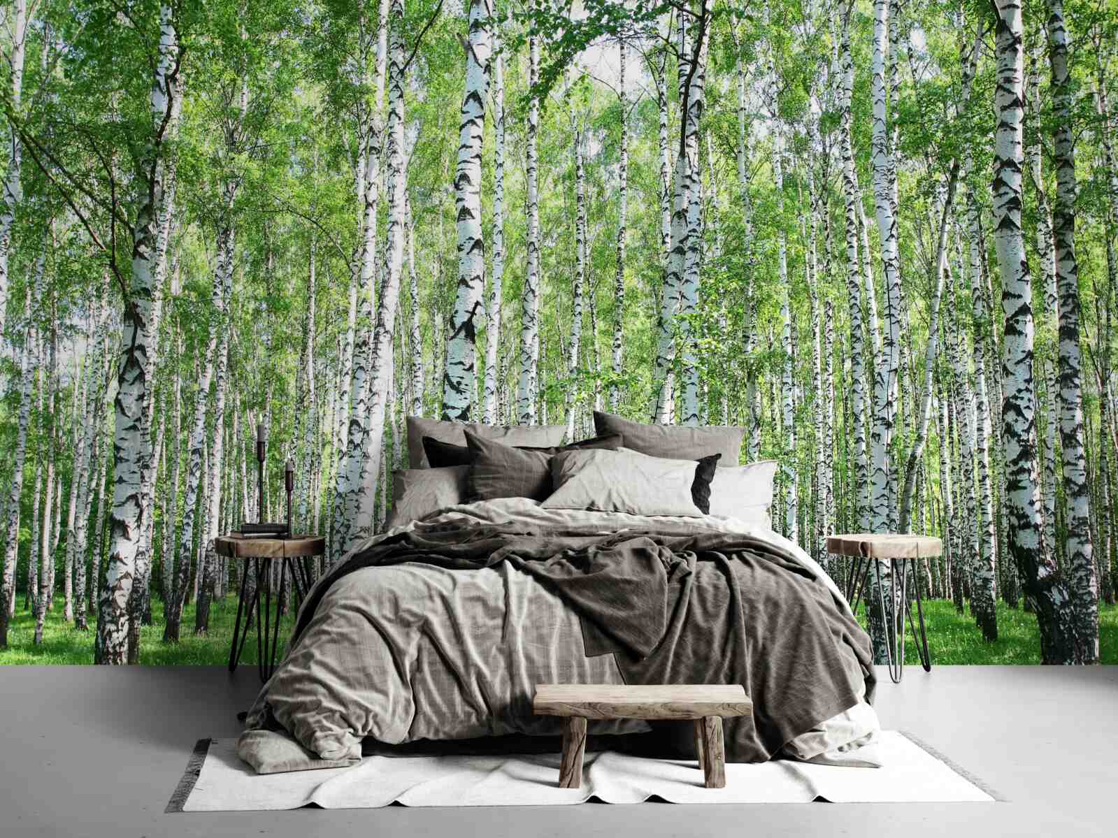 Фотошпалери граціозні, до неба берізки