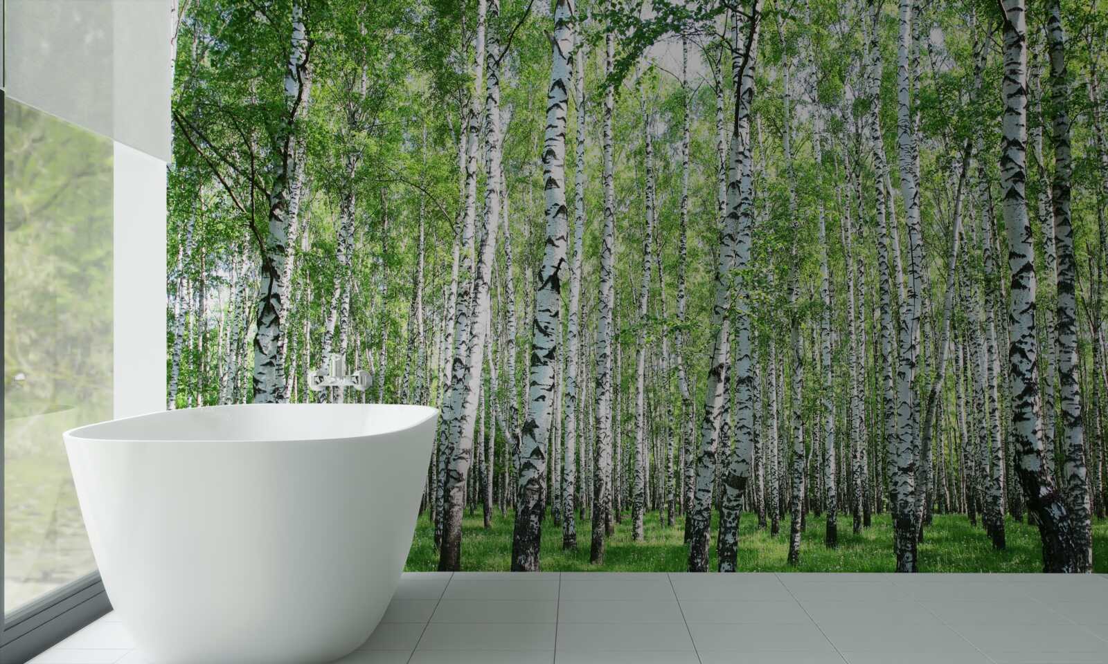 Фотошпалери граціозні, до неба берізки