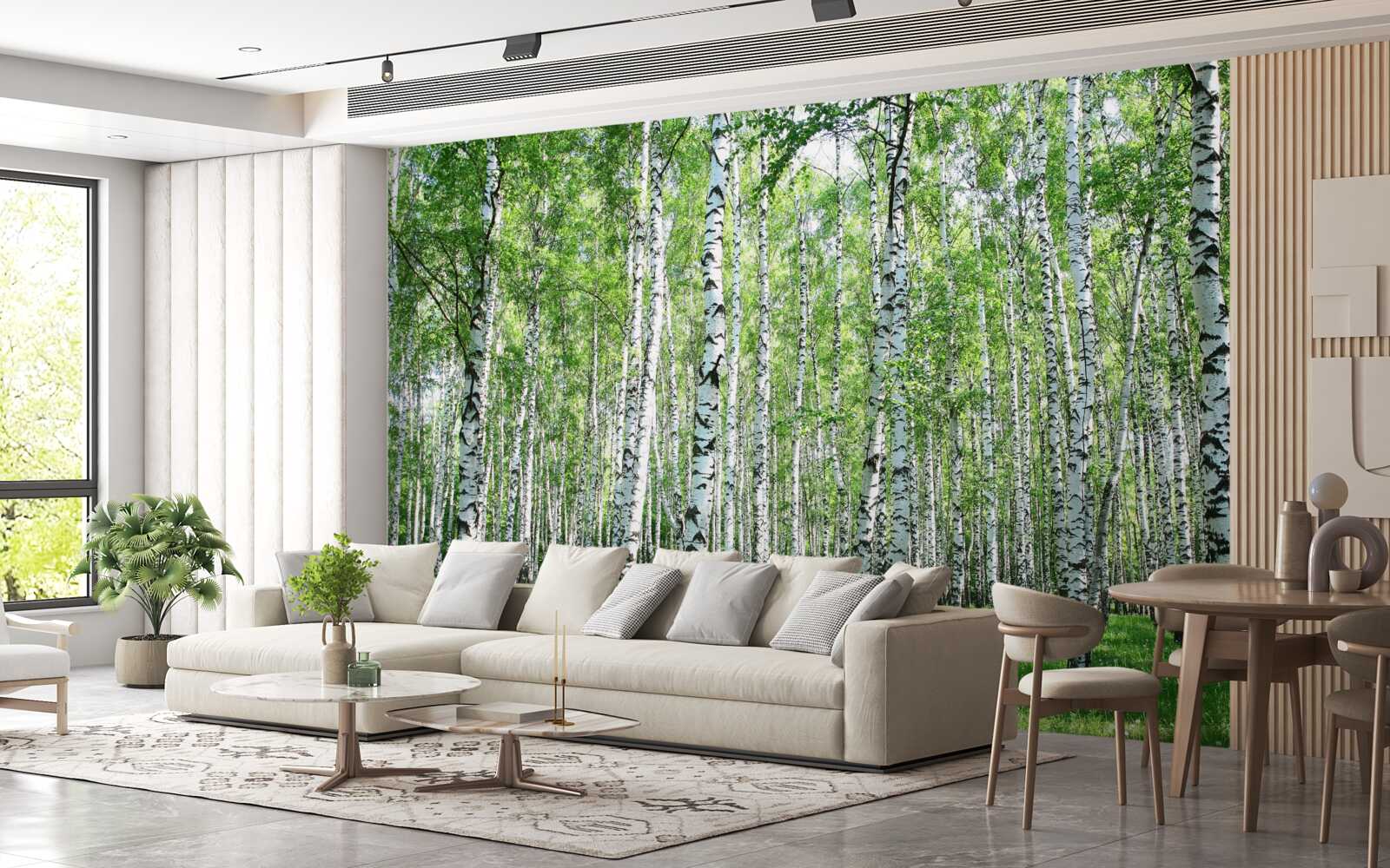 Фотошпалери граціозні, до неба берізки