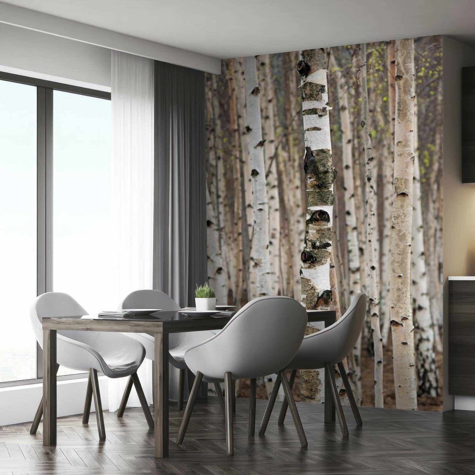 Фотошпалери берези в лісі