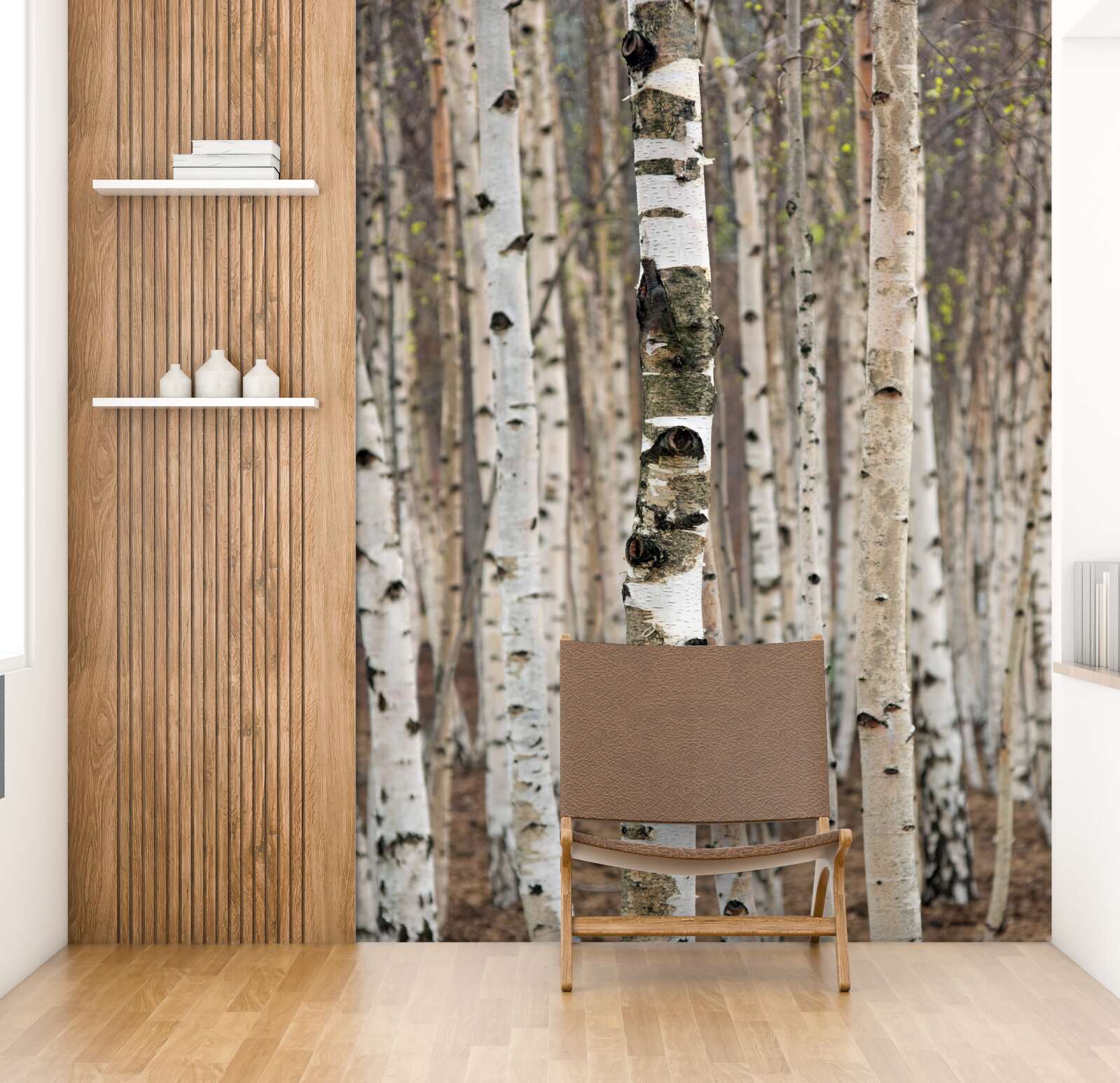 Фотошпалери берези в лісі