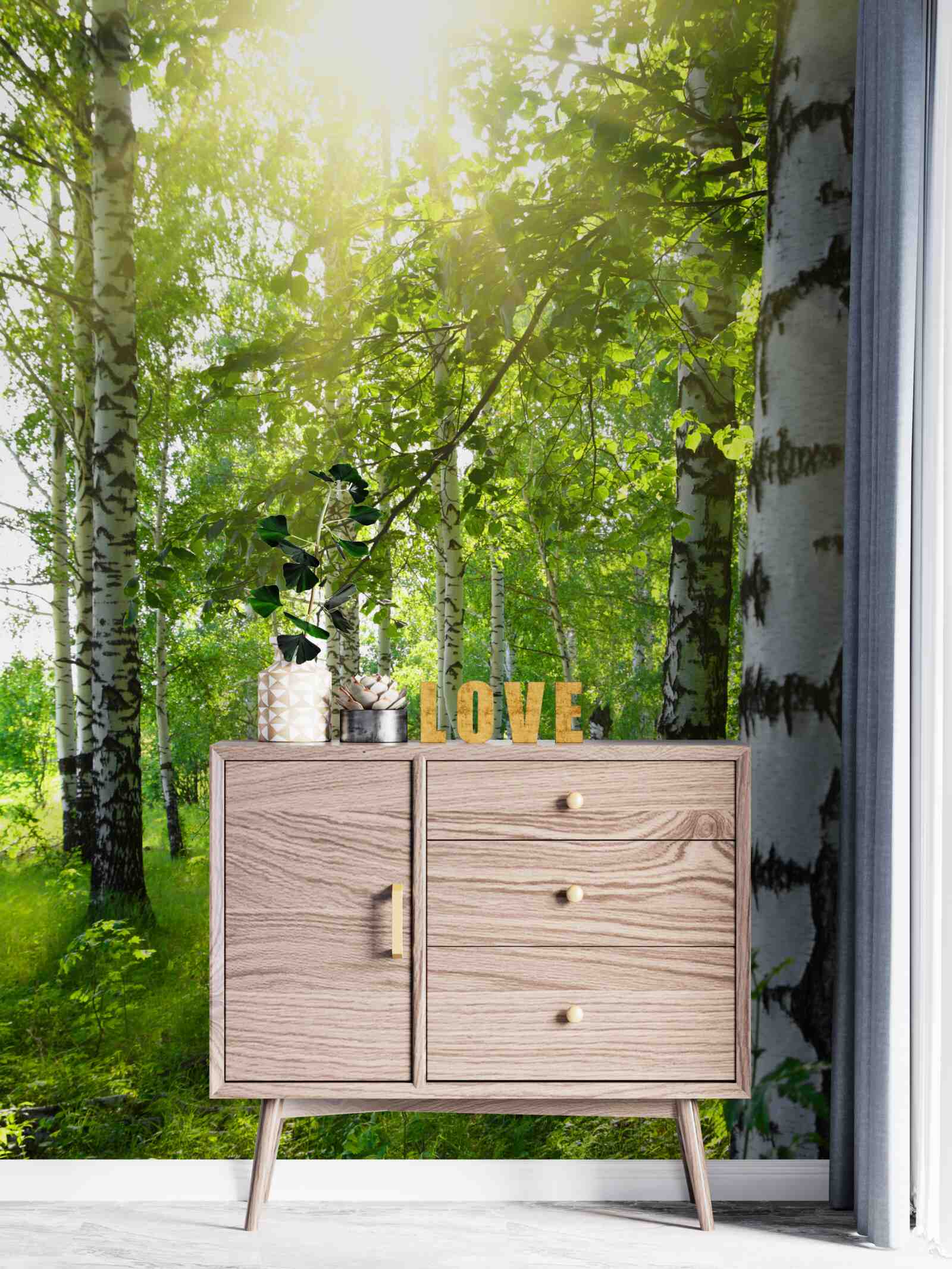 Фотошпалери сонце в березовому гаю