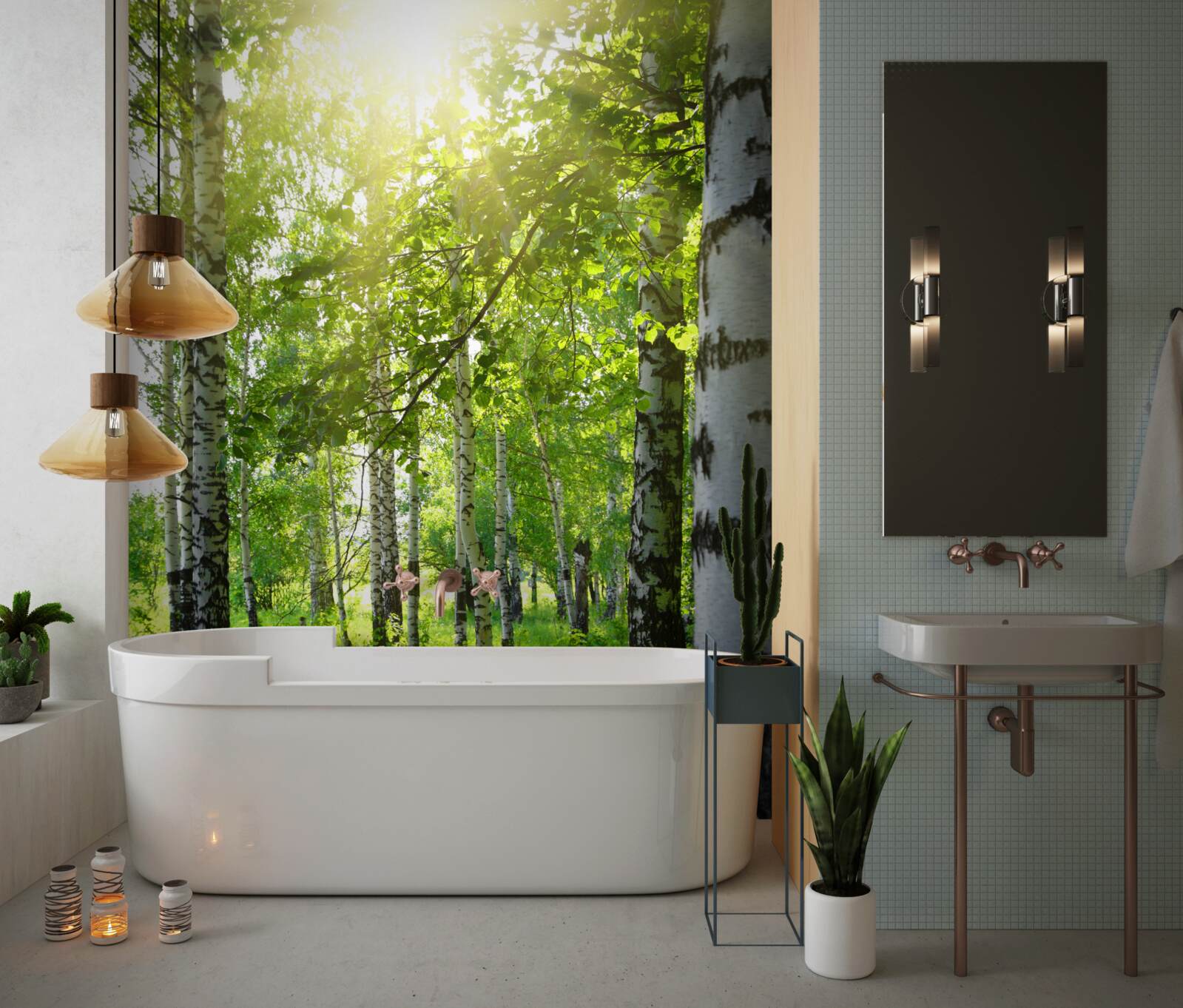 Фотошпалери сонце в березовому гаю