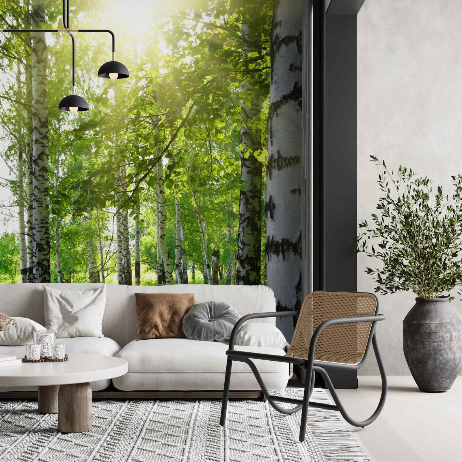 Фотошпалери сонце в березовому гаю