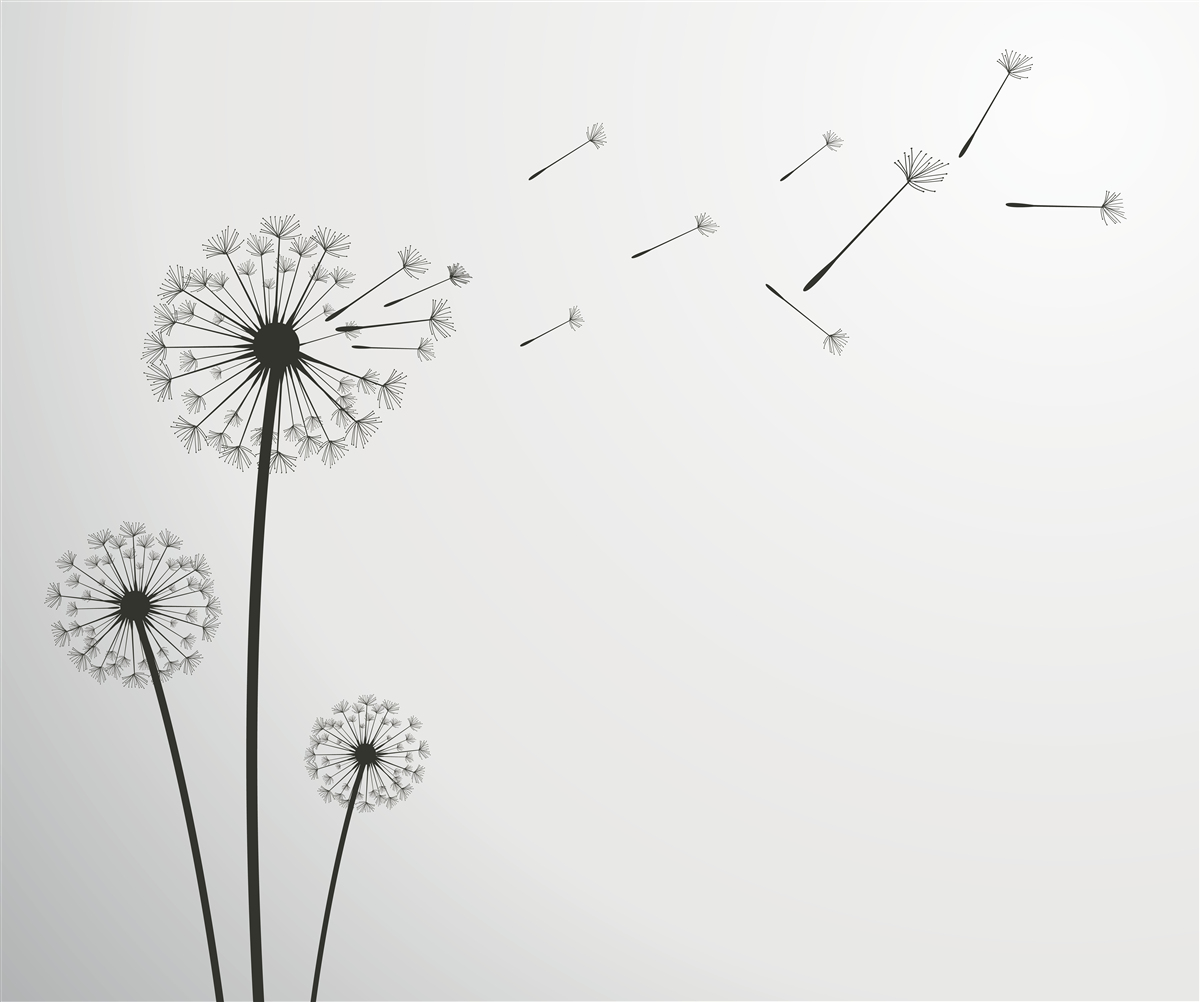 Фотошпалери опалий молочай відлітає