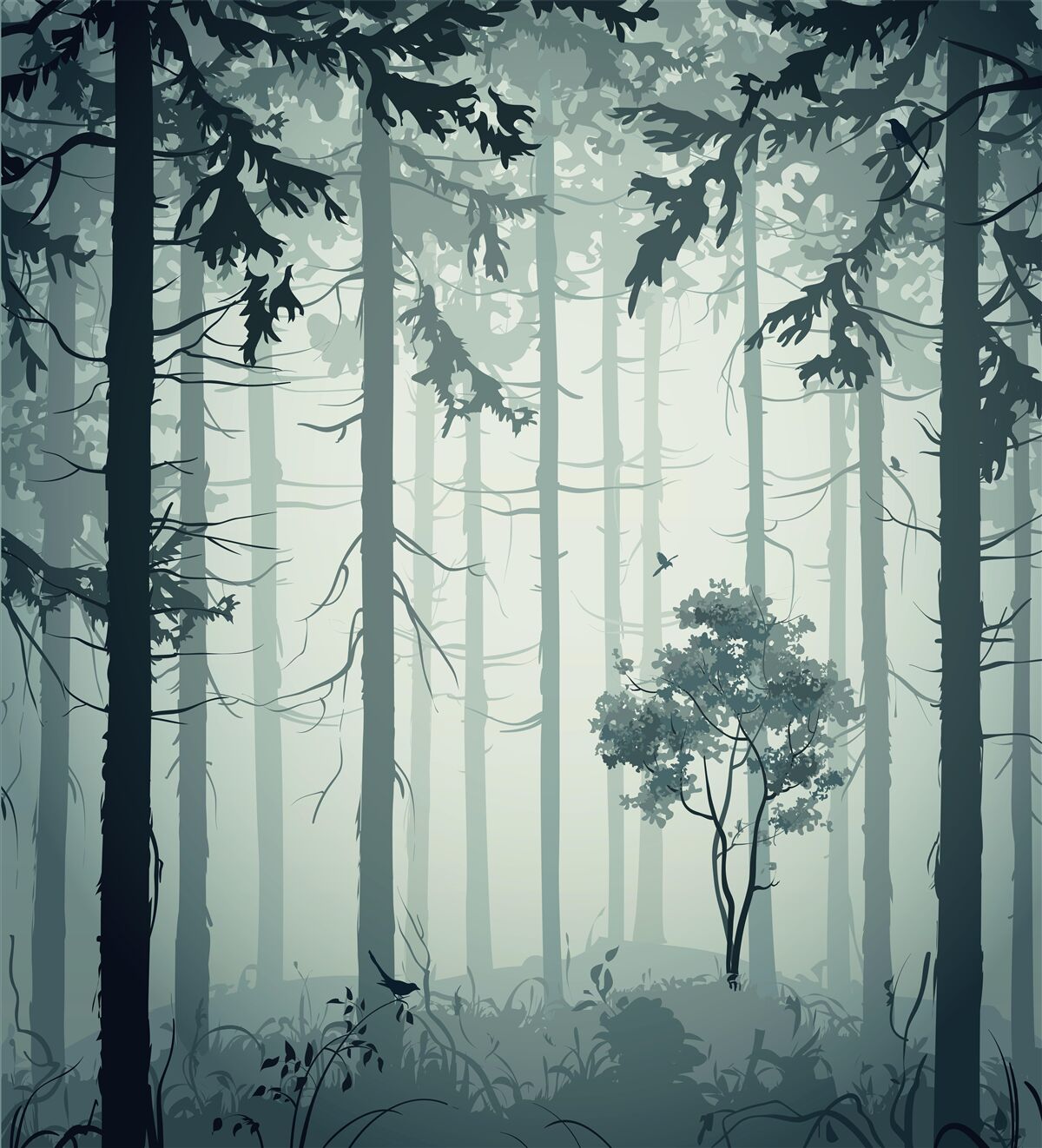 Фотошпалери ліс, оповитий таємничим туманом