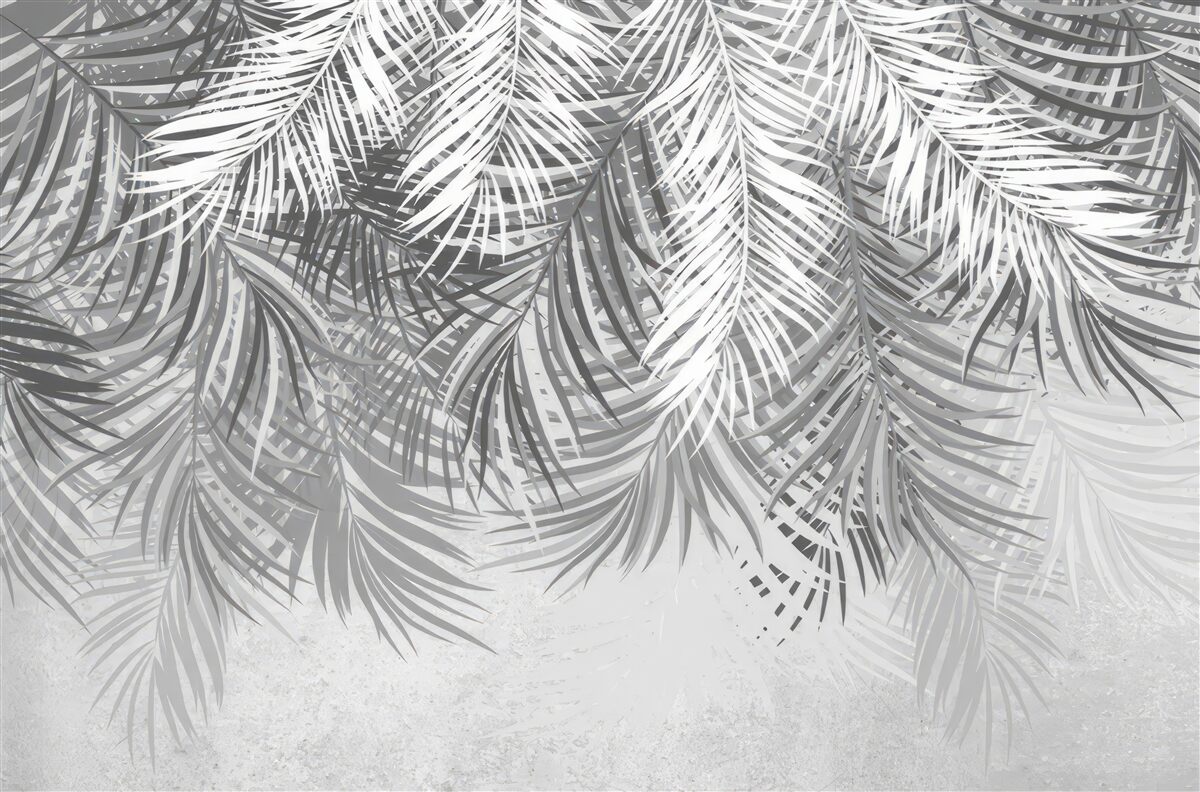 Фотошпалери звисаюча папороть у відтінках білого та сірого