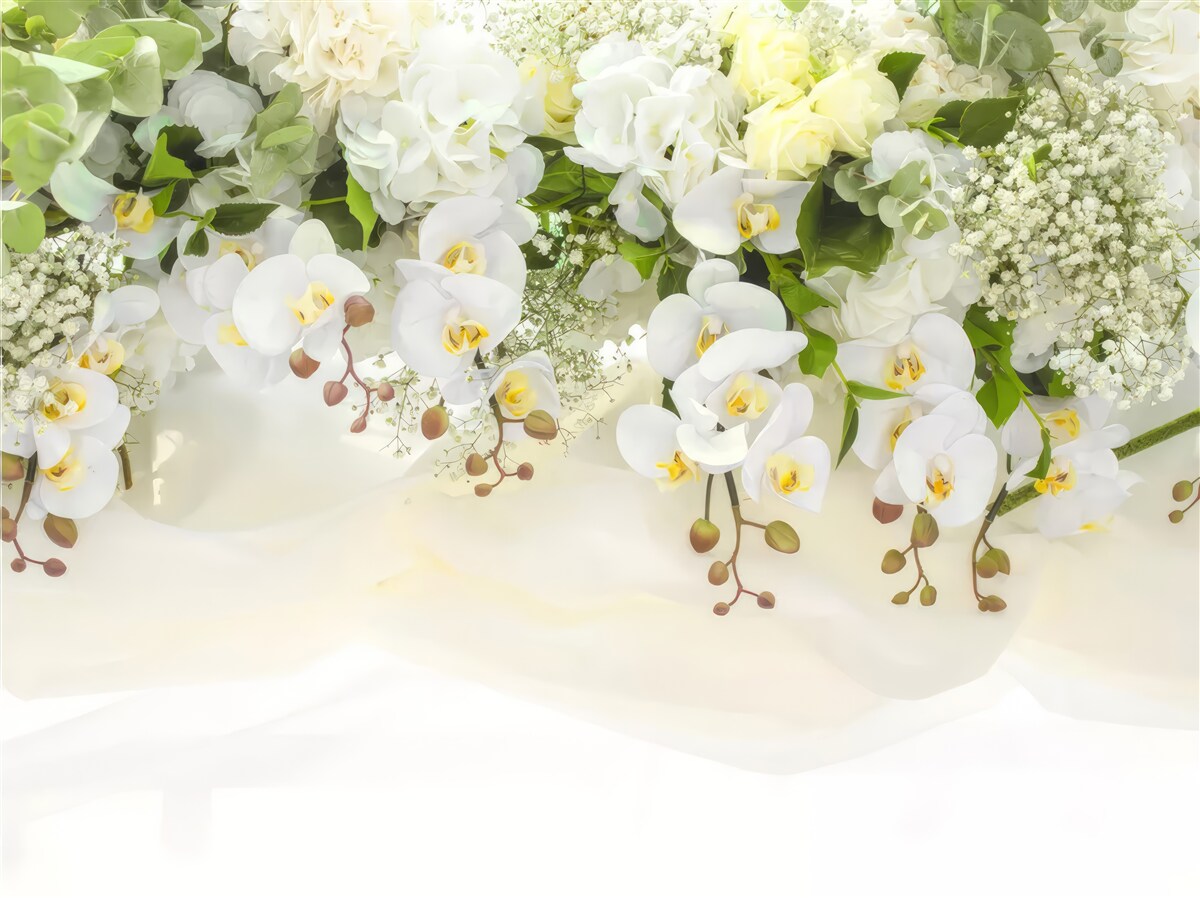 Фотошпалери білі орхідеї звисають