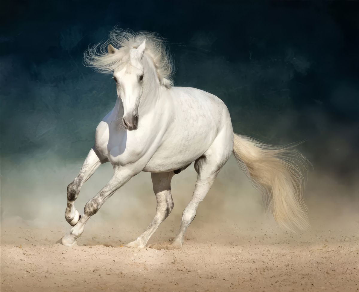 Фотошпалери біг білого коня