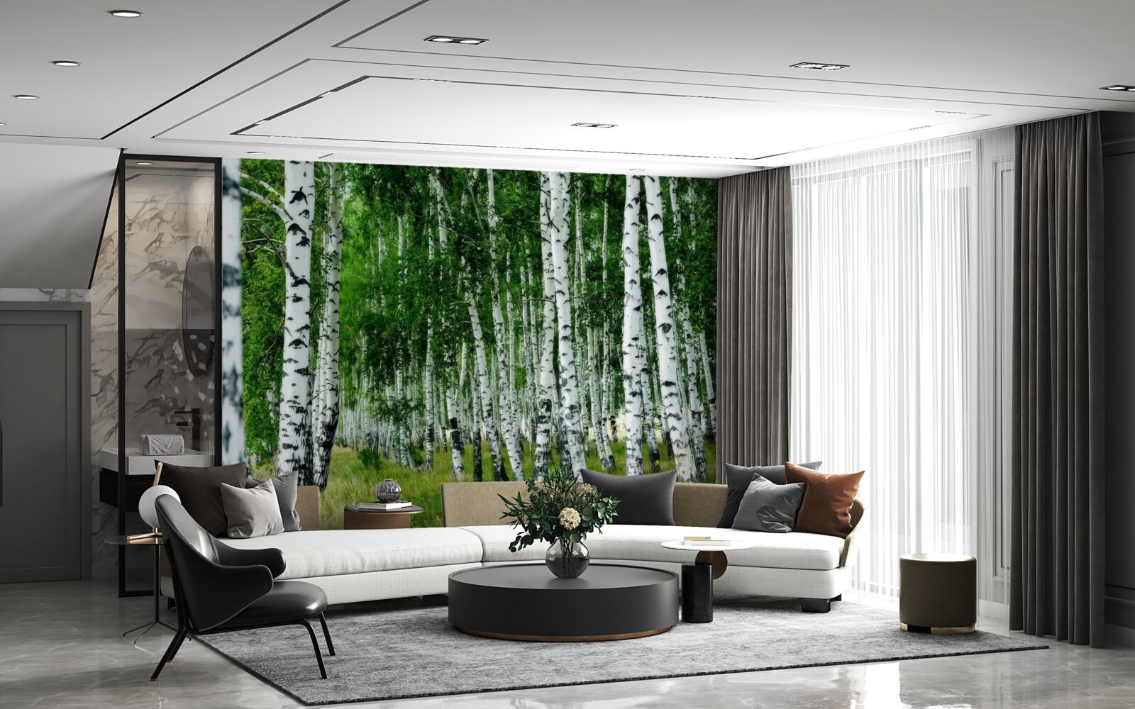 Фотошпалери густий березовий гай