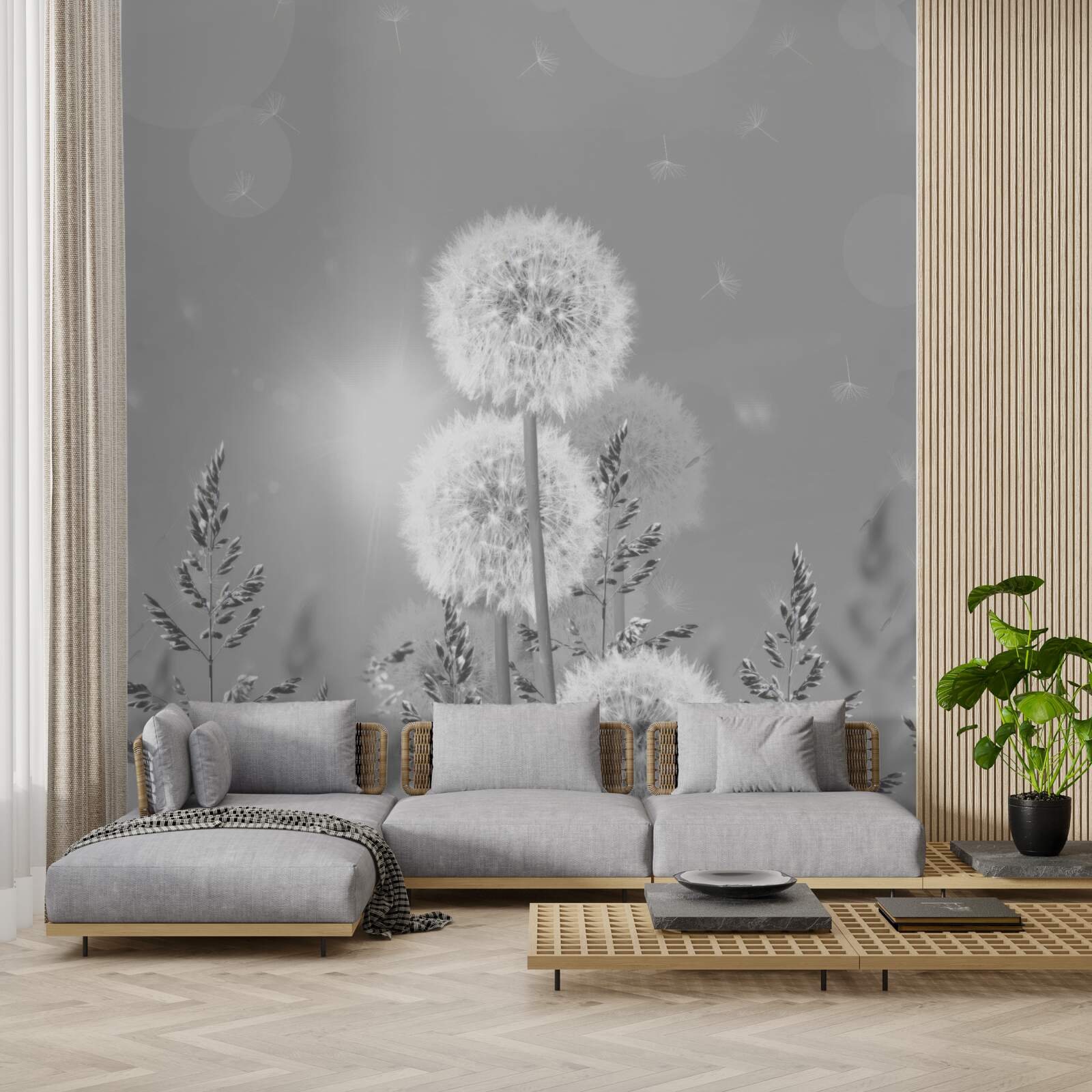 Фотошпалери кульбаби у відтінках чорного та білого