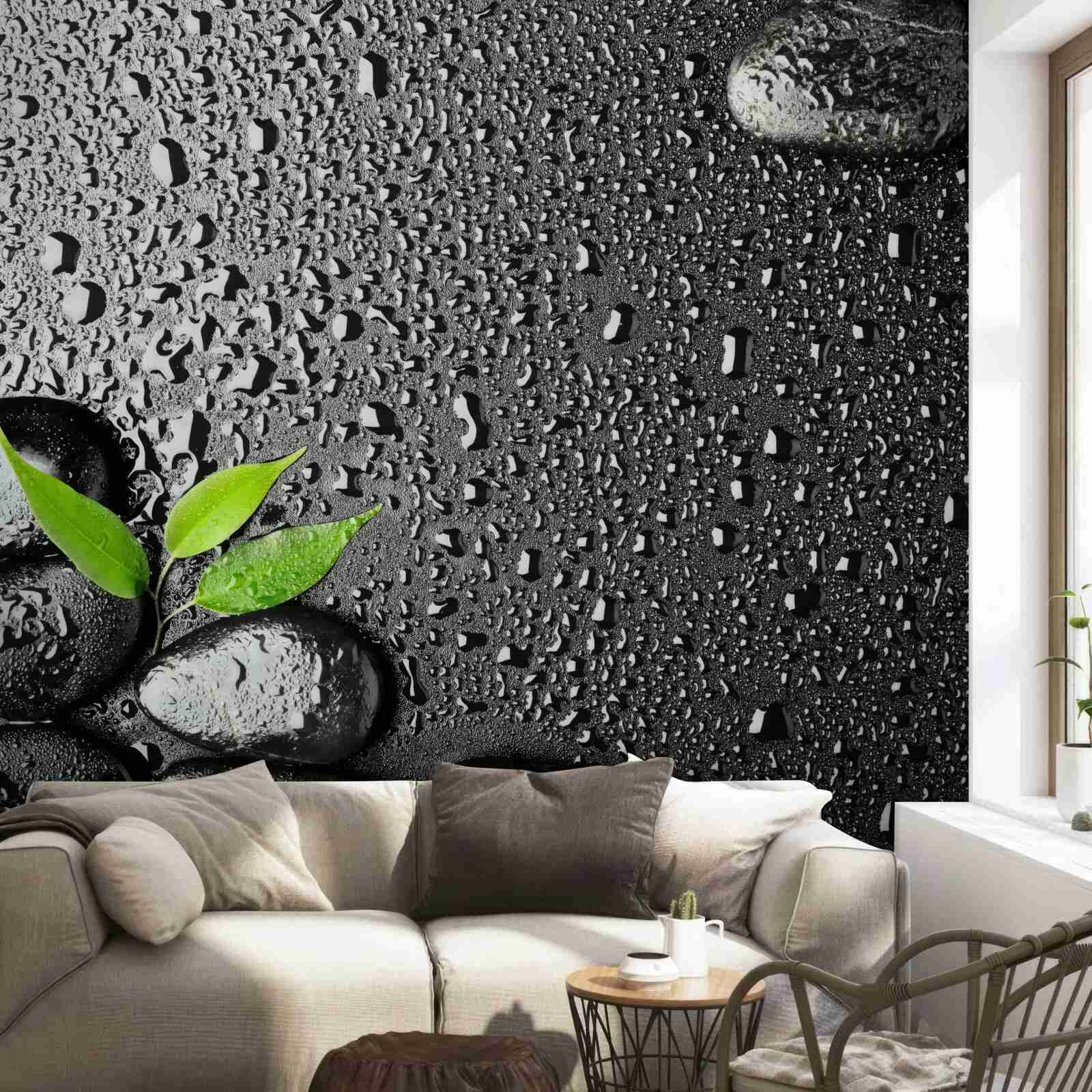 Фотошпалери зелене листя і чорне каміння