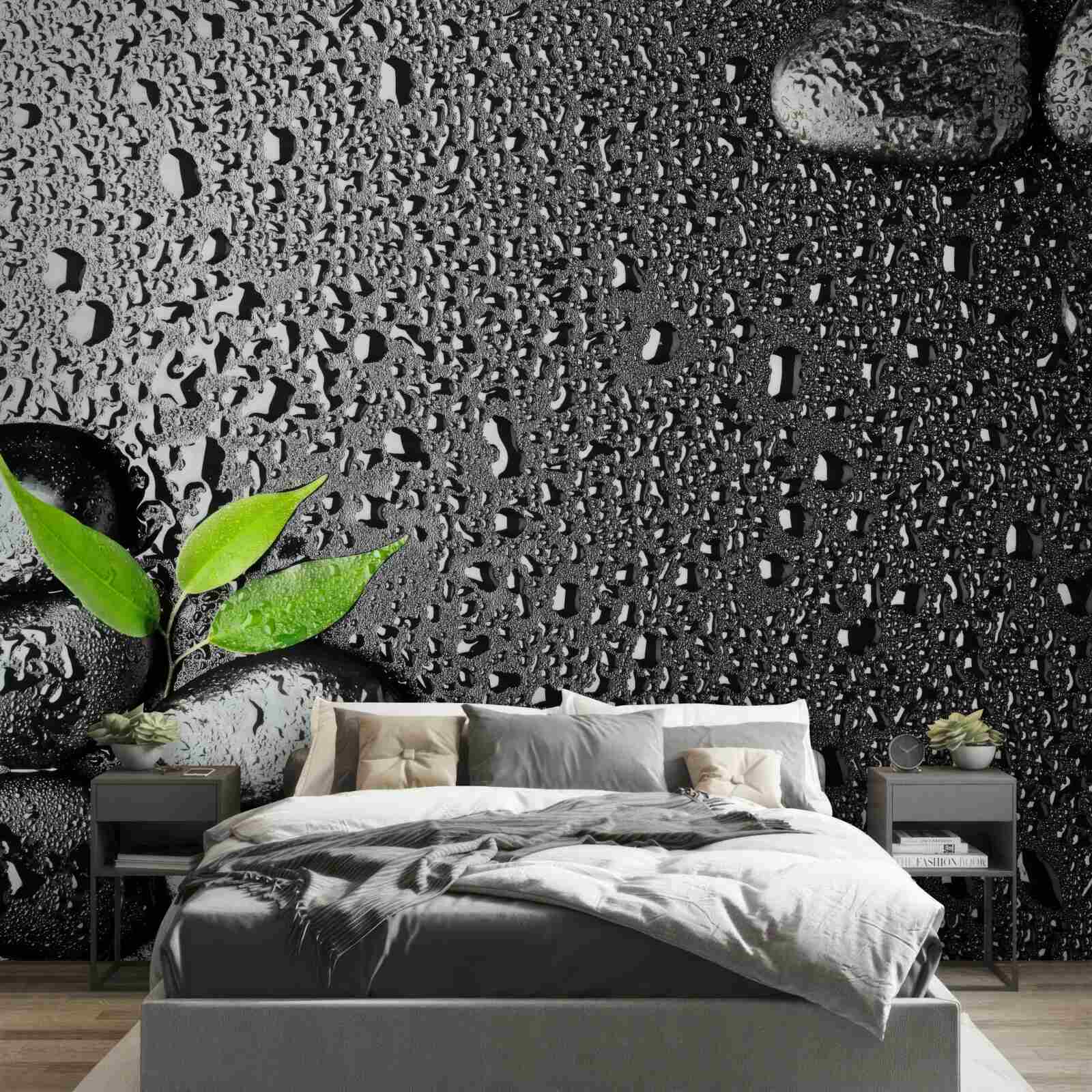 Фотошпалери зелене листя і чорне каміння