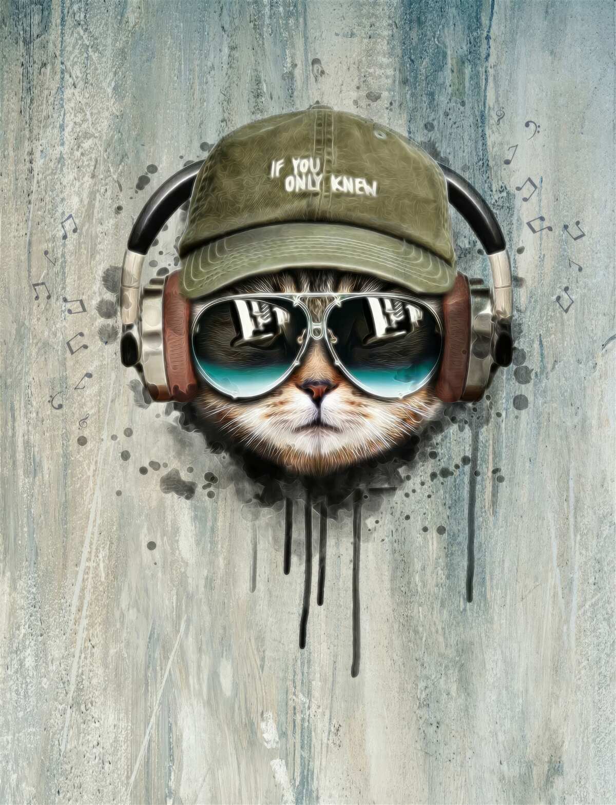 Фотошпалери модний кіт