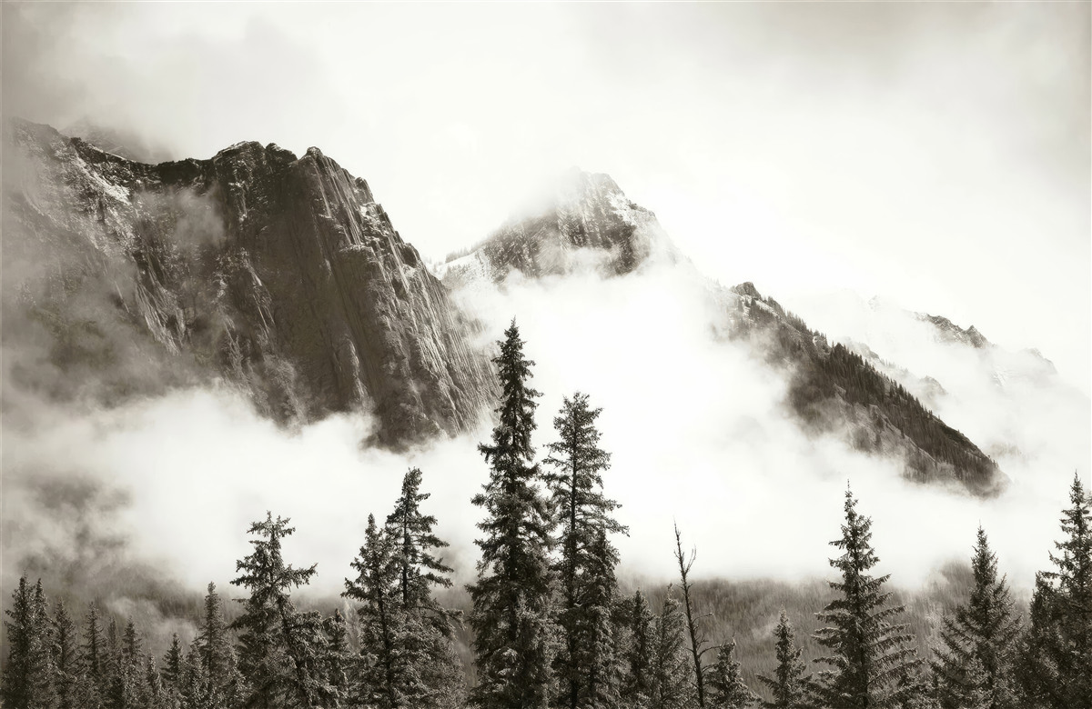 Фотошпалери чорно-білі гори, оповиті туманом