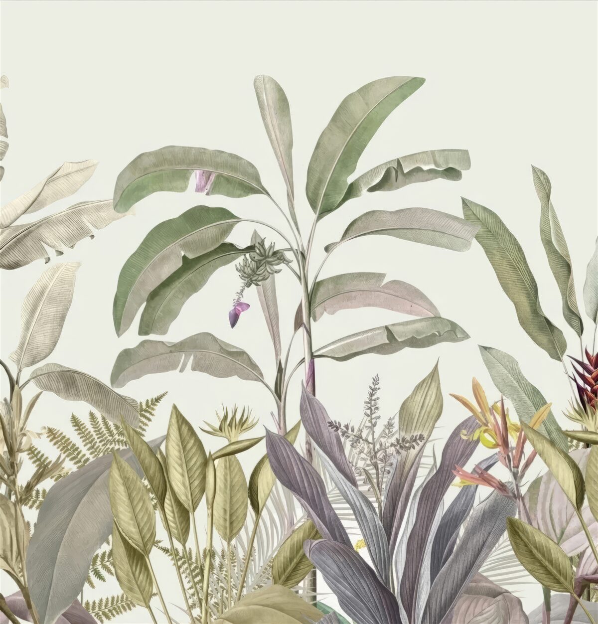 Фотошпалери рідкісні форми рослин і листя