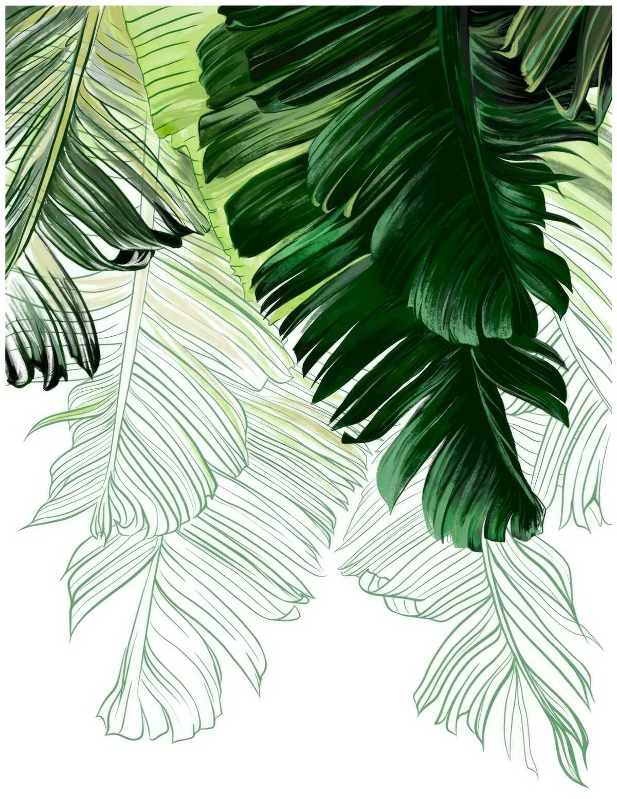 Фотошпалери зелені відтінки великого листя папороті