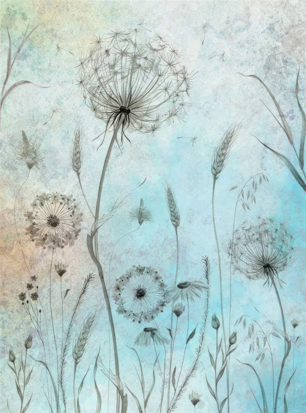 Фотошпалери пшениця і кульбаба