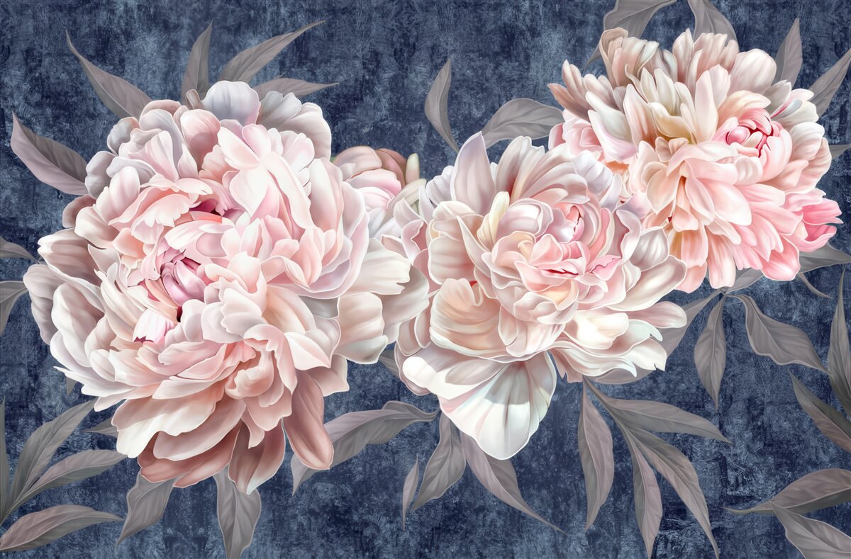 Фотошпалери великі яскраві півонії на темній поверхні