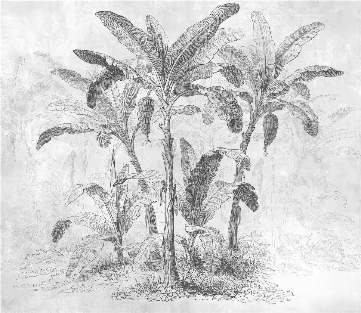 Фотошпалери показані долоні