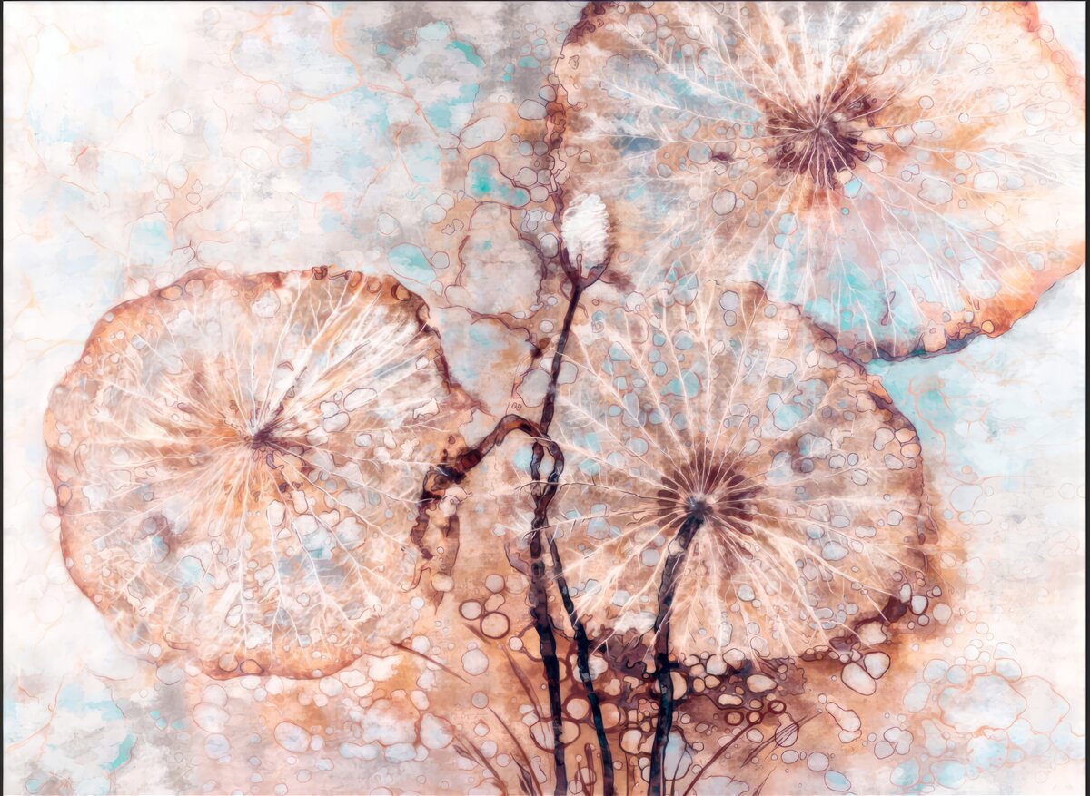 Фотошпалери рослина представлена у незвичний спосіб