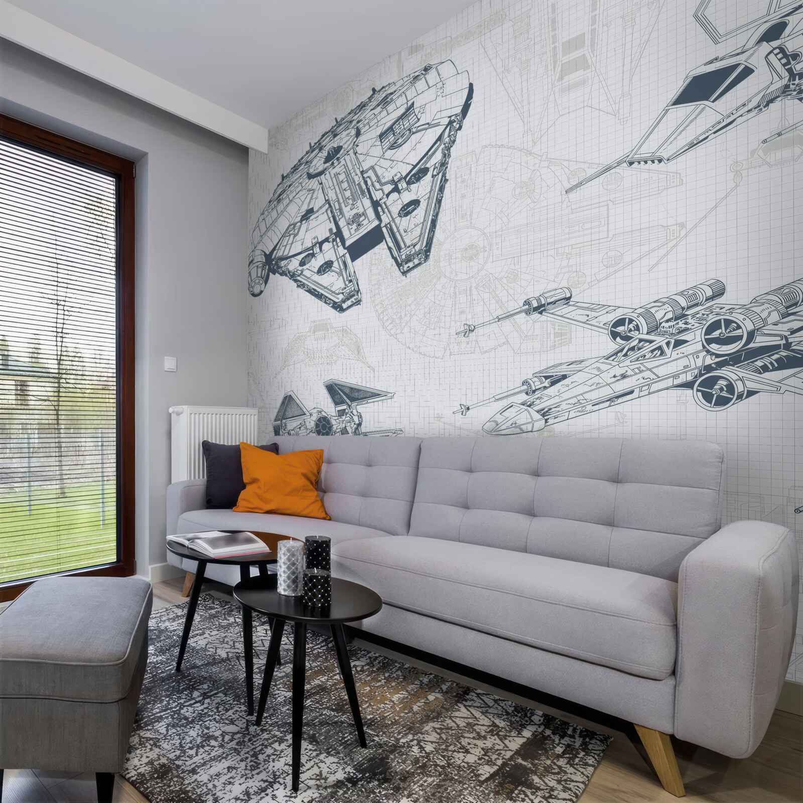 Фотошпалери схеми різних літаків