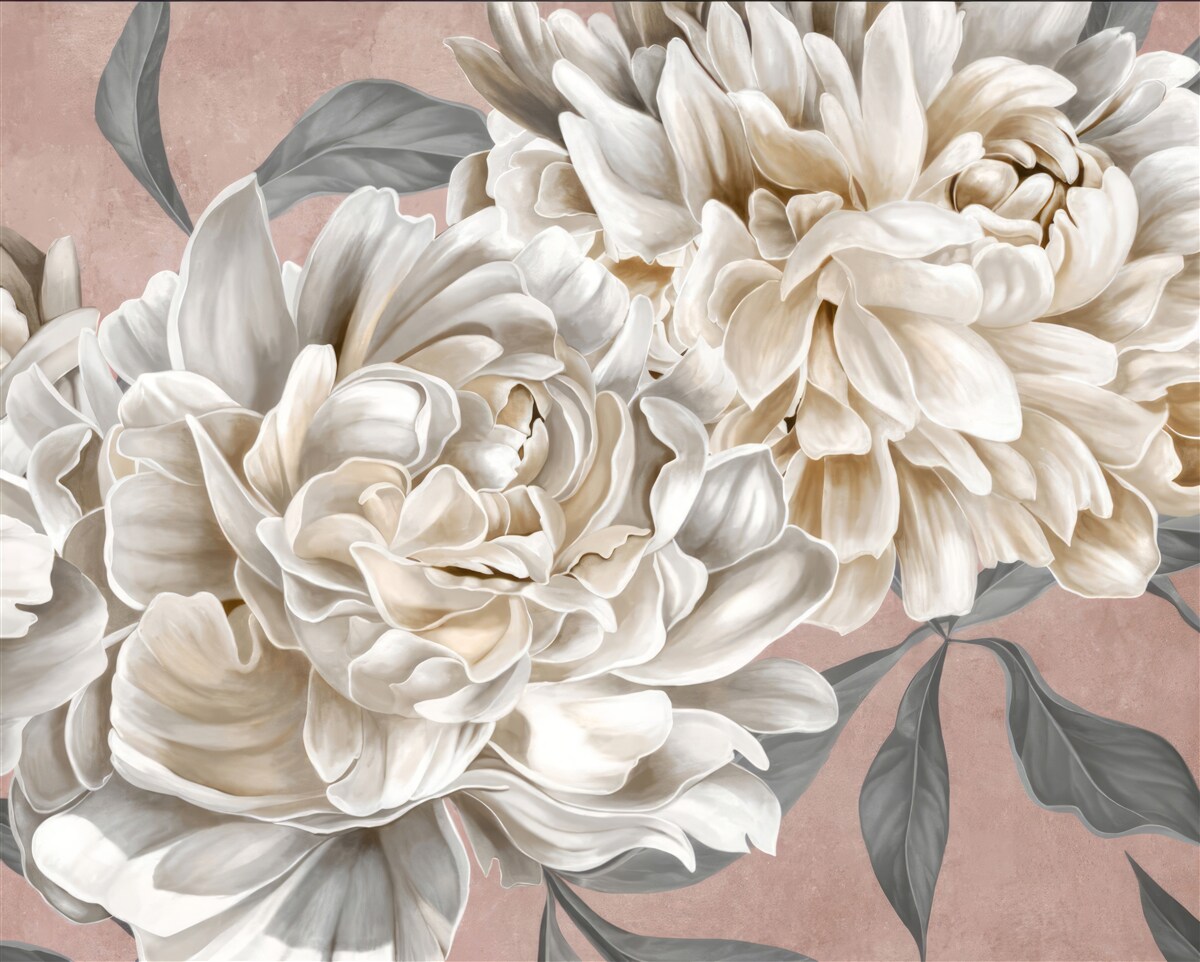 Фотошпалери величезні білосніжні півонії