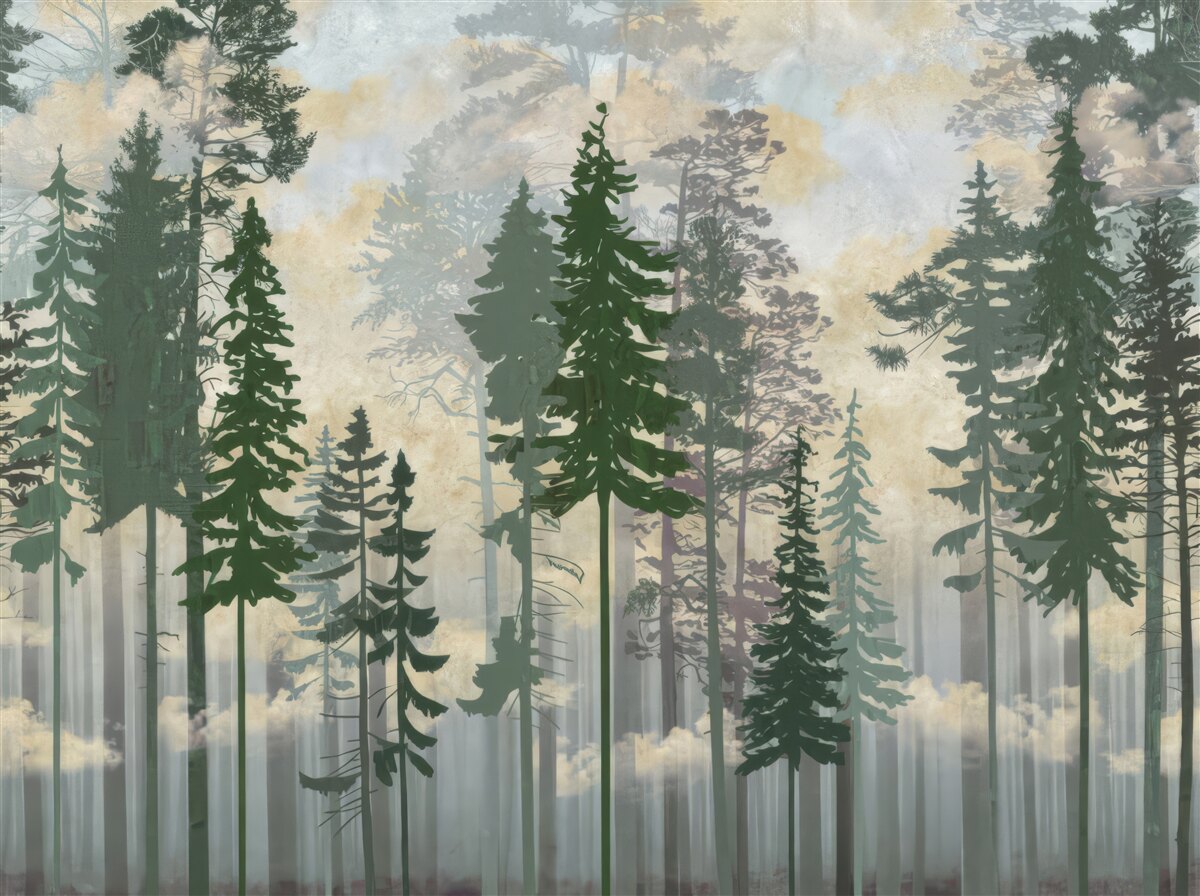 Фотошпалери туманний ліс, оповитий деревами