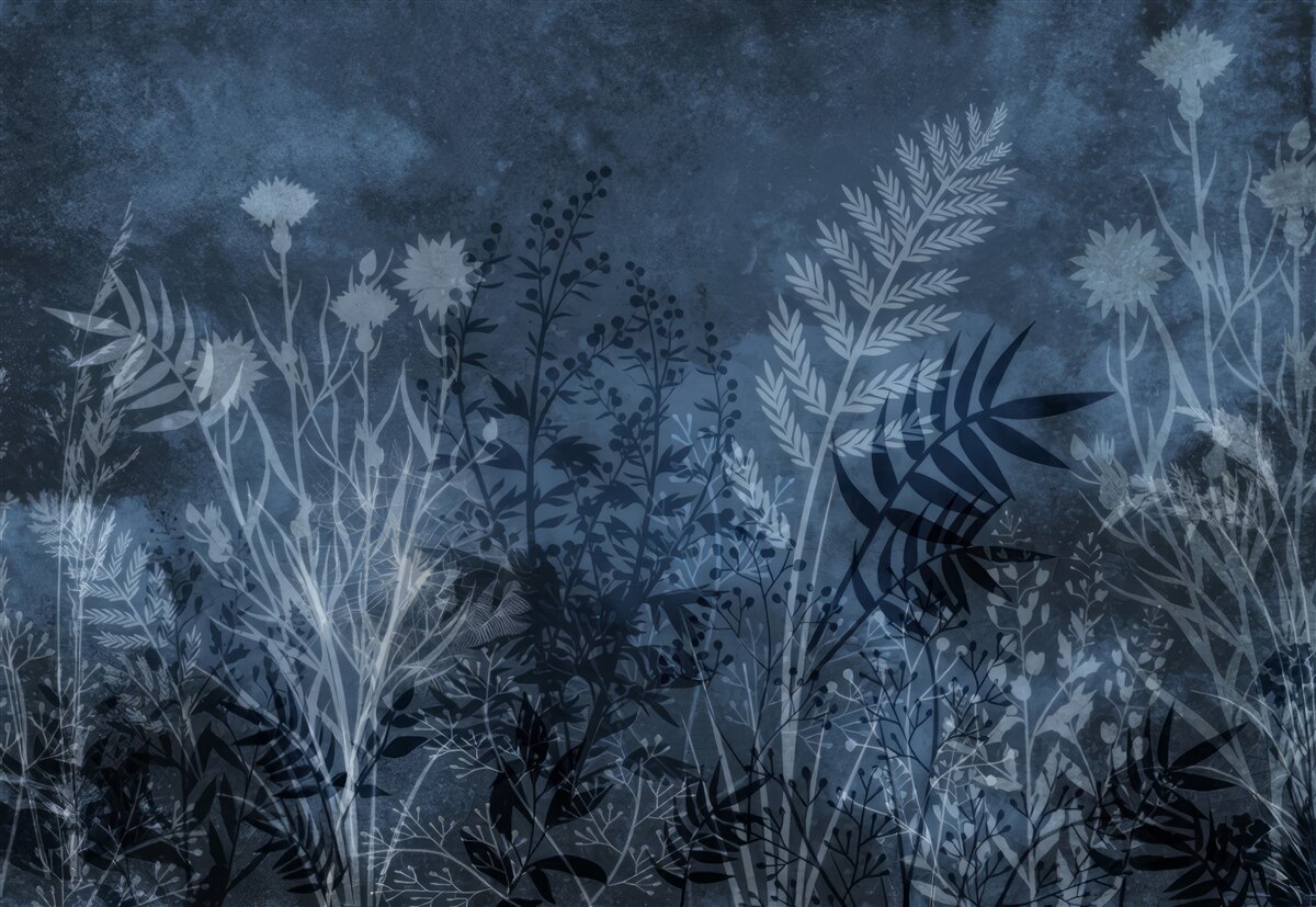 Фотошпалери нічний місяць освітлює луг і рослини