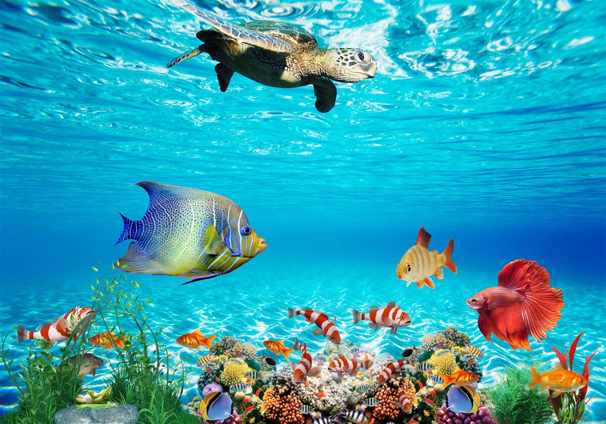 Фотошпалери морські мешканці глибокого океану