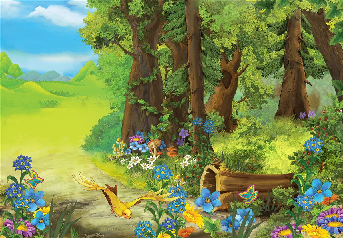 Фотошпалери чарівний зелений літній ліс