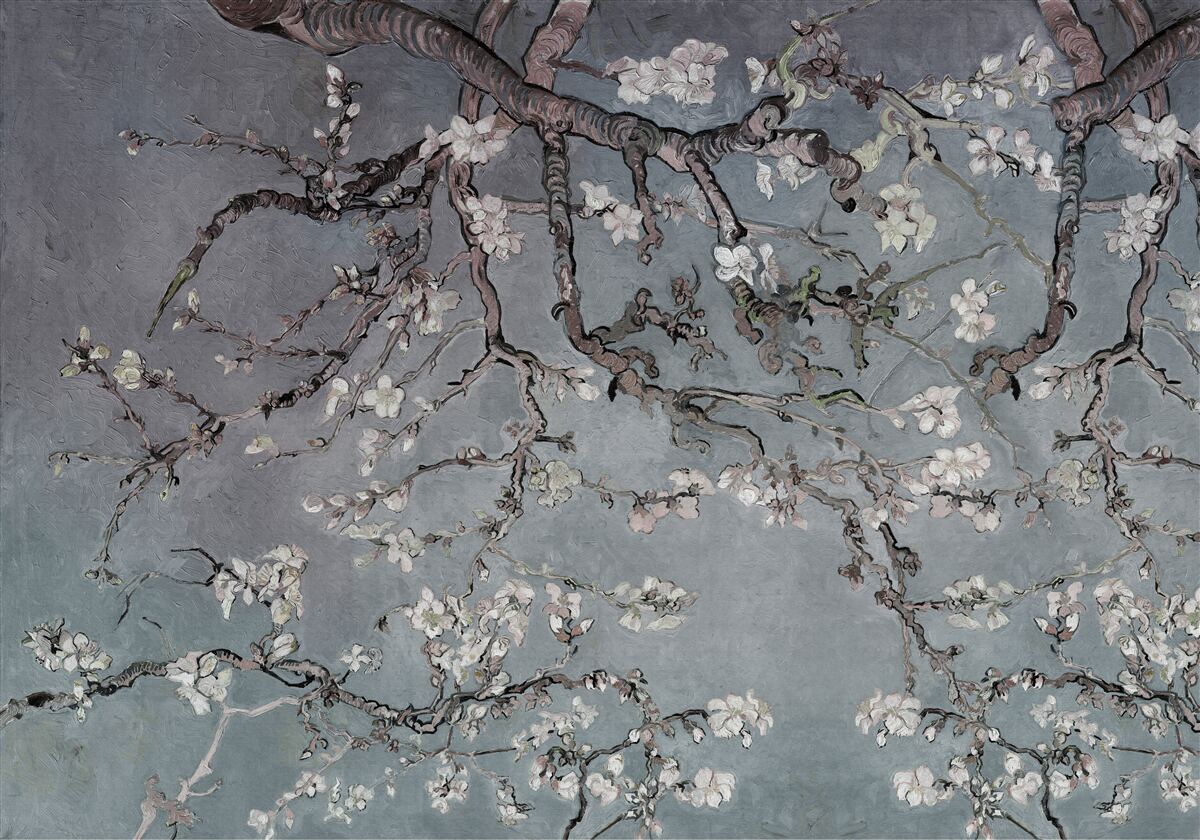 Фотошпалери гілка магнолії в цвіту