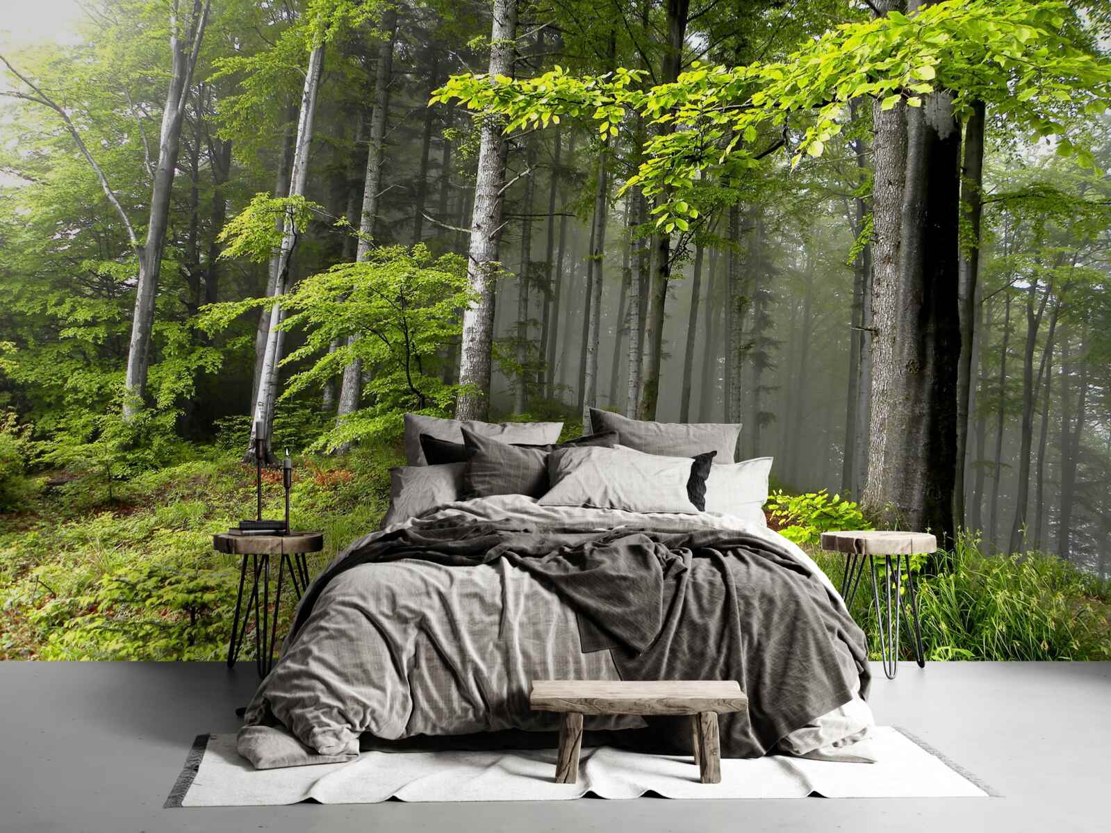 Фотошпалери туманний ліс з листям