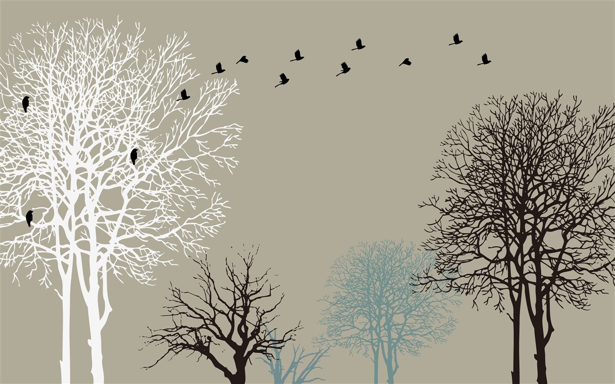 Фотошпалери птахи літають над верхівками дерев