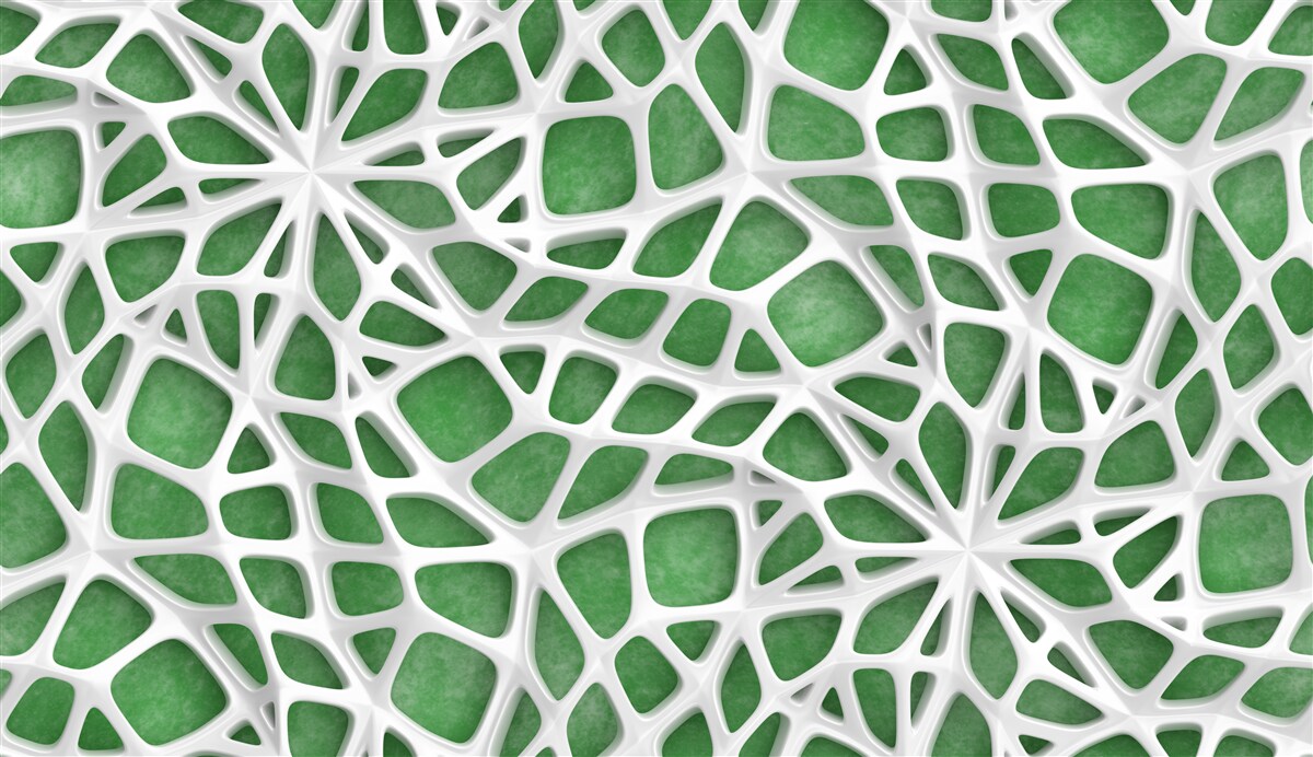 Фотошпалери на зеленому тлі - велика біла павутина