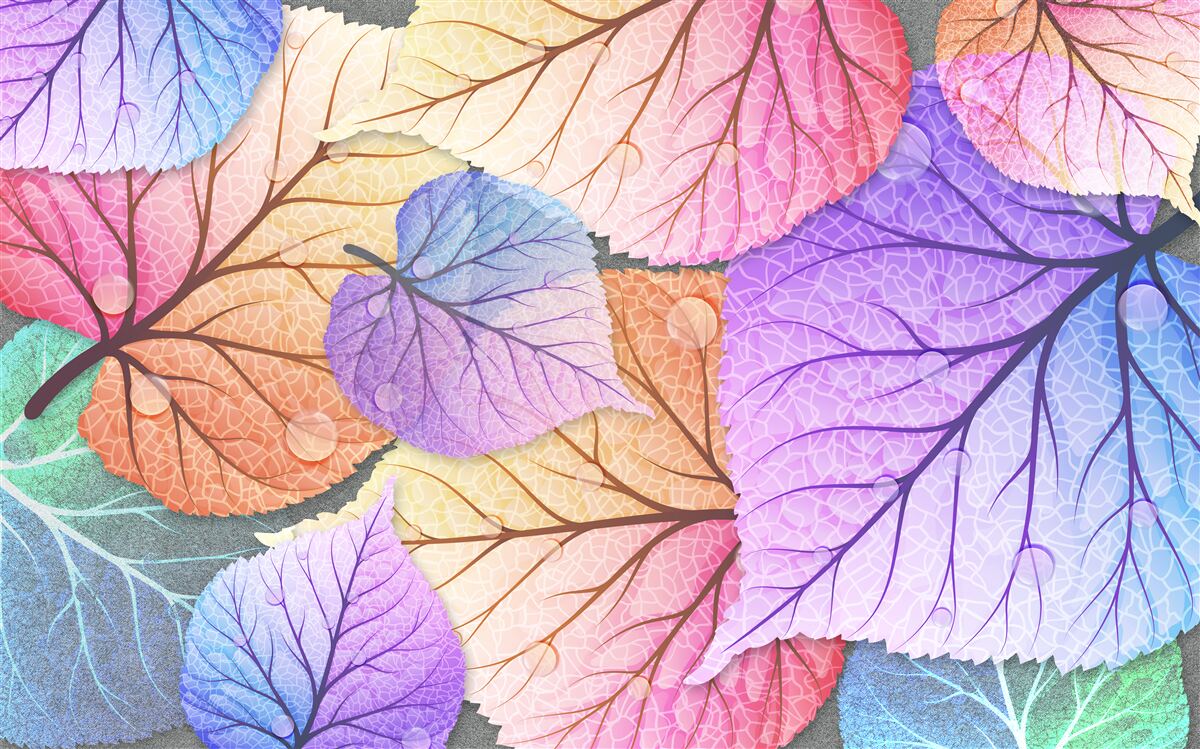 Фотошпалери осіннє листя, розфарбоване в яскраві кольори