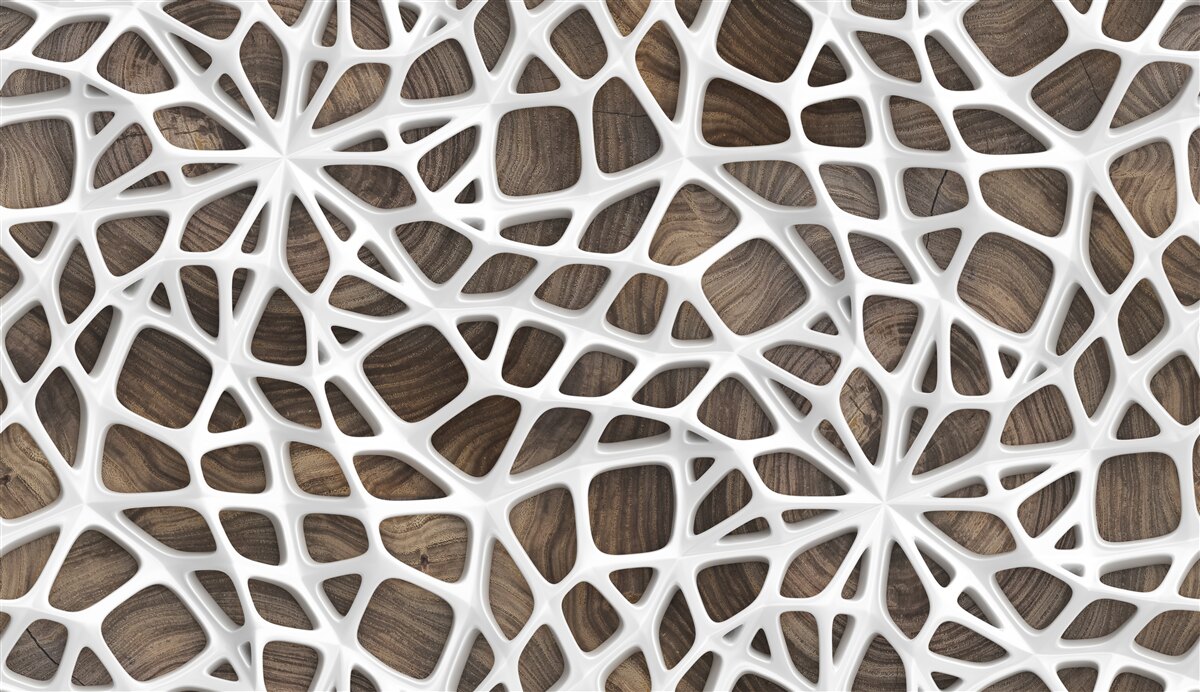 Фотошпалери об'ємна білосніжна мережа