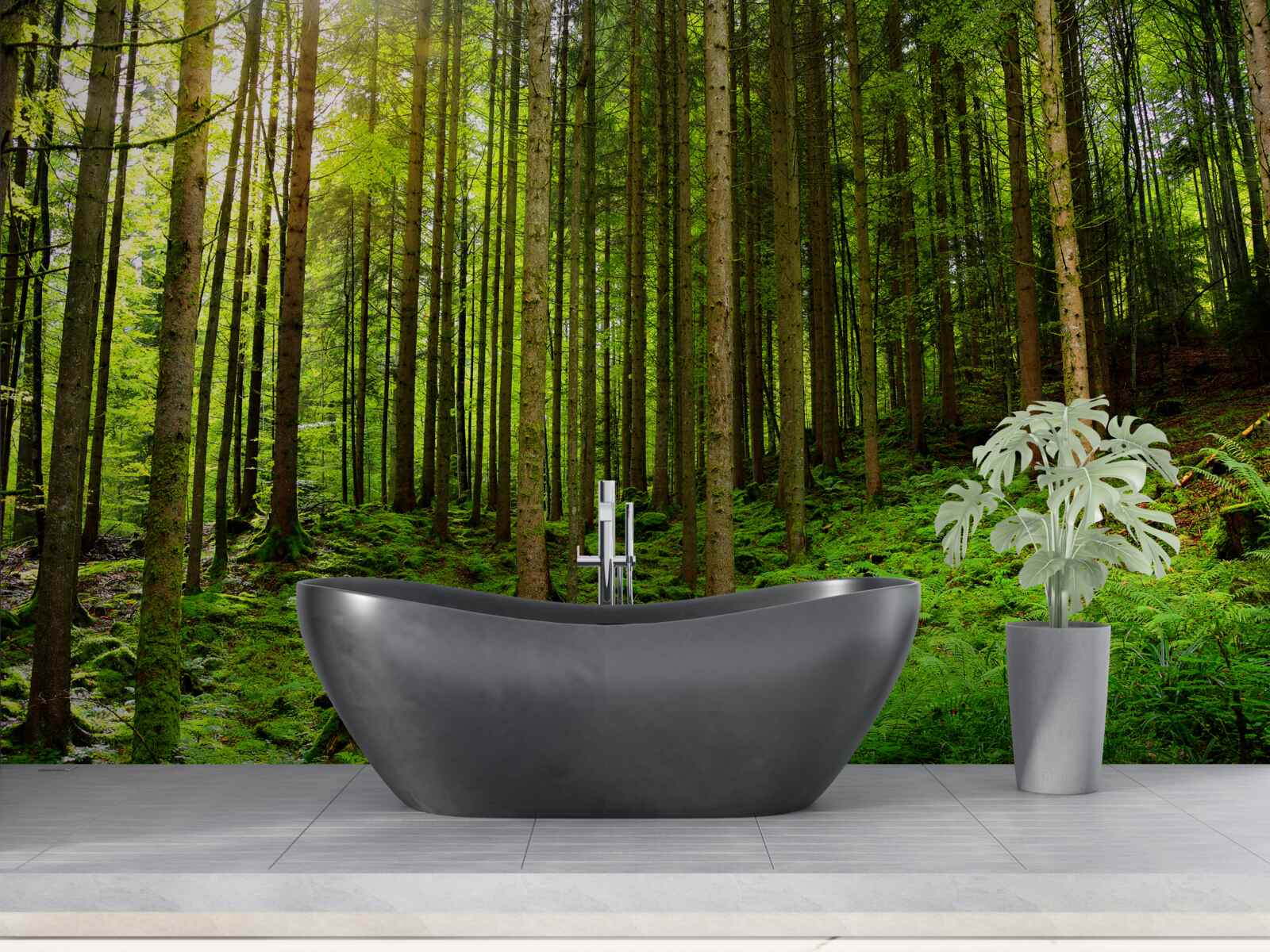 Фотошпалери сонячні промені проникають у ліс