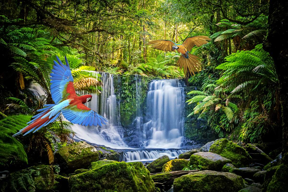 Фотошпалери прихований водоспад у лісі