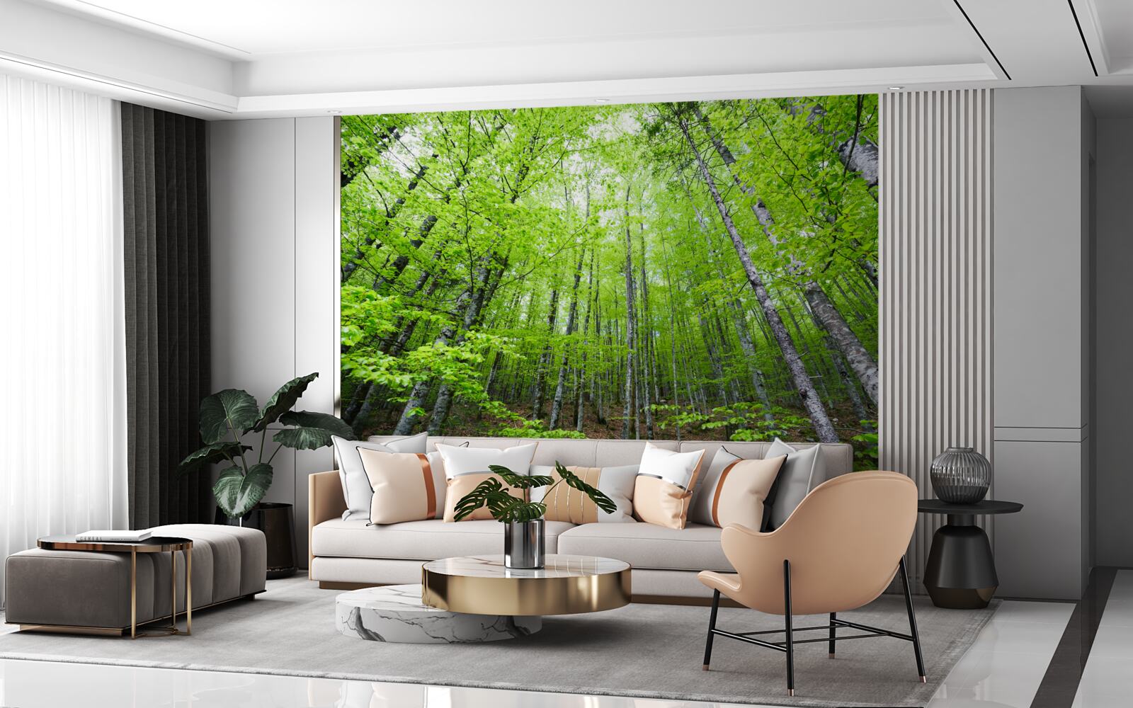 Фотошпалери яскраво сяють зелені крони дерев у лісі