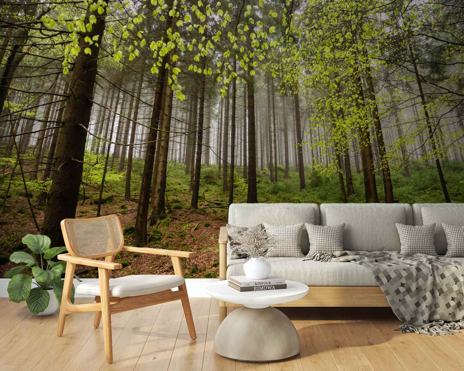 Фотошпалери зелений ліс після дощу