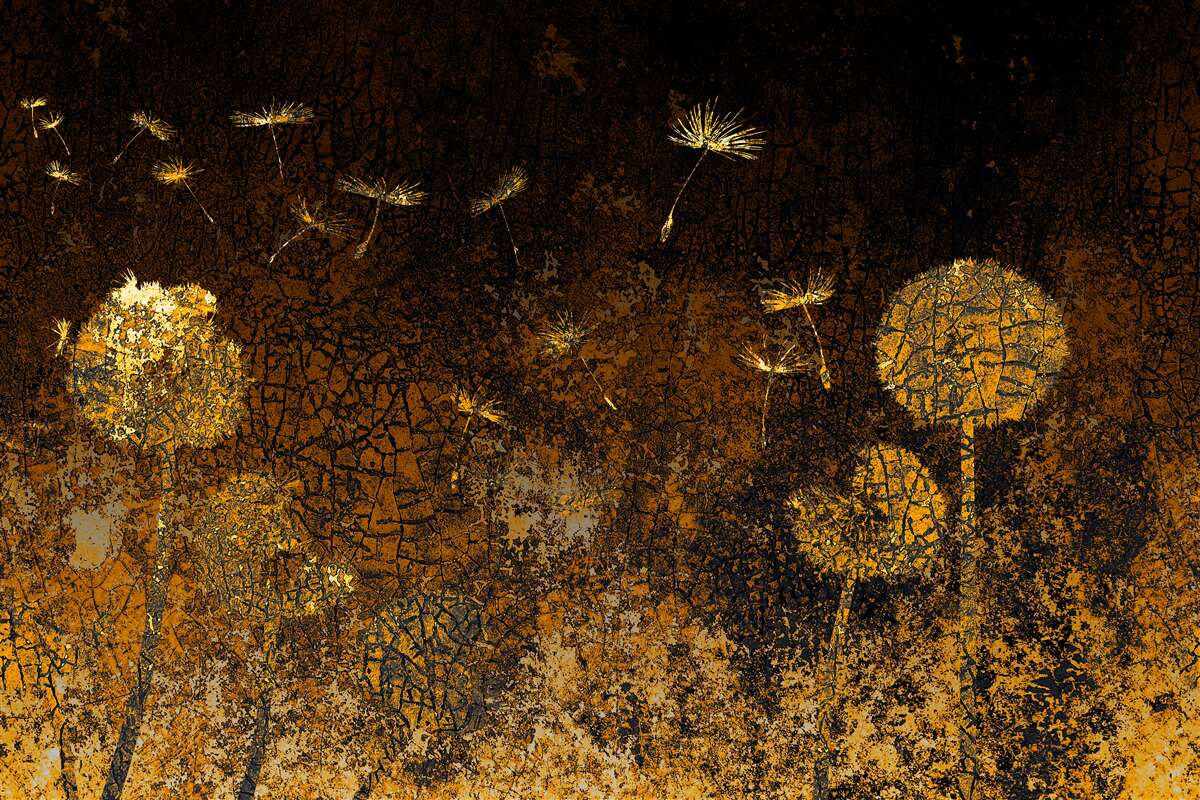 Фотошпалери вночі вітер гойдає кульбаби