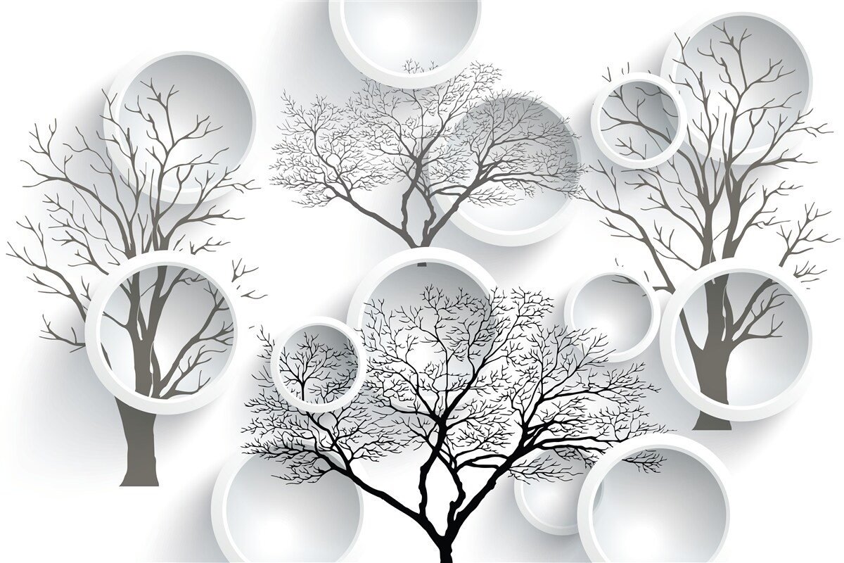 Фотошпалери білі кола та дерева