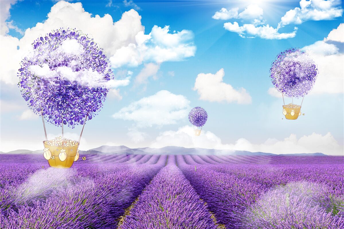 Фотошпалери плантація лаванди та повітряні кульки