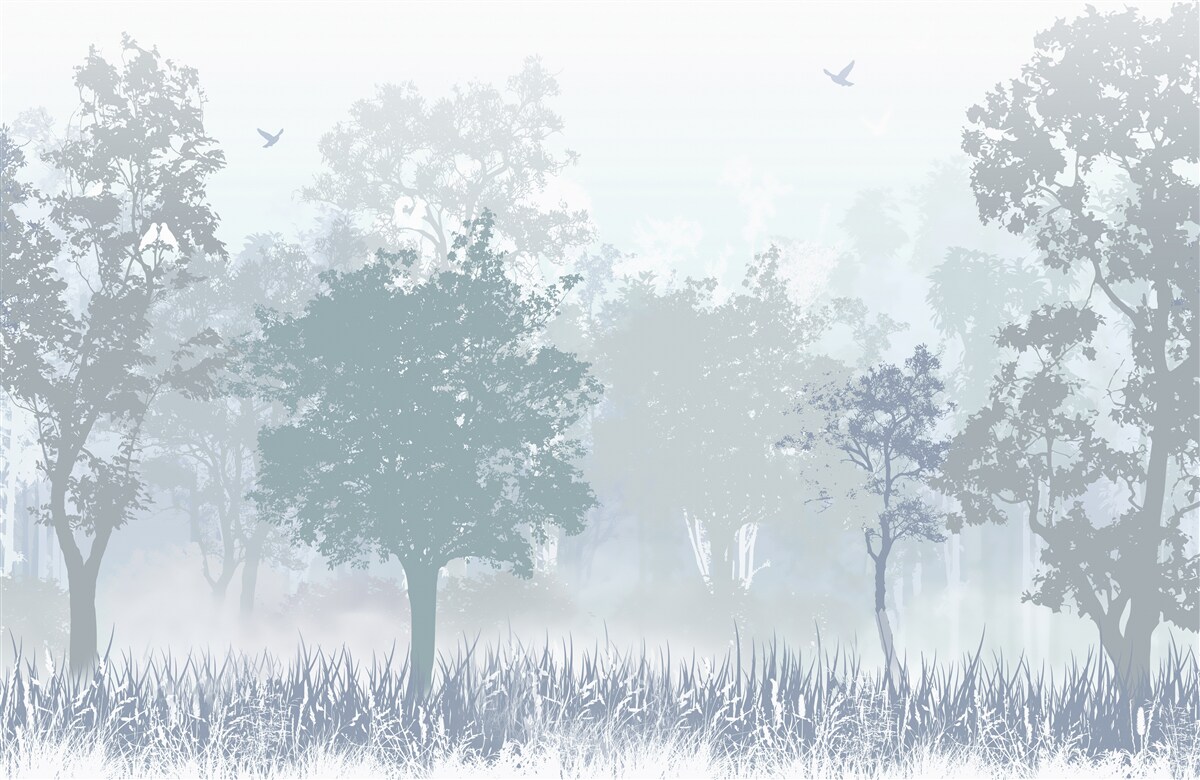 Фотошпалери ранковий ліс, оповитий туманом