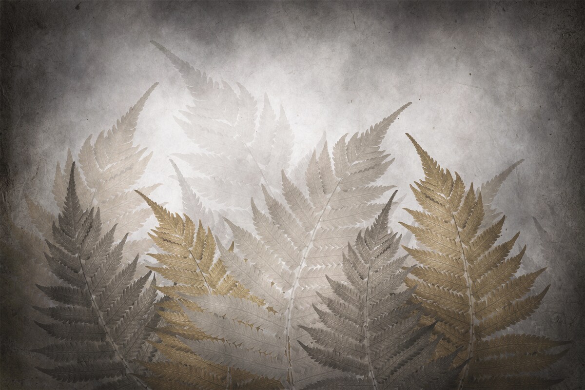 Фотошпалери листя папороті, оповите туманом у лісі