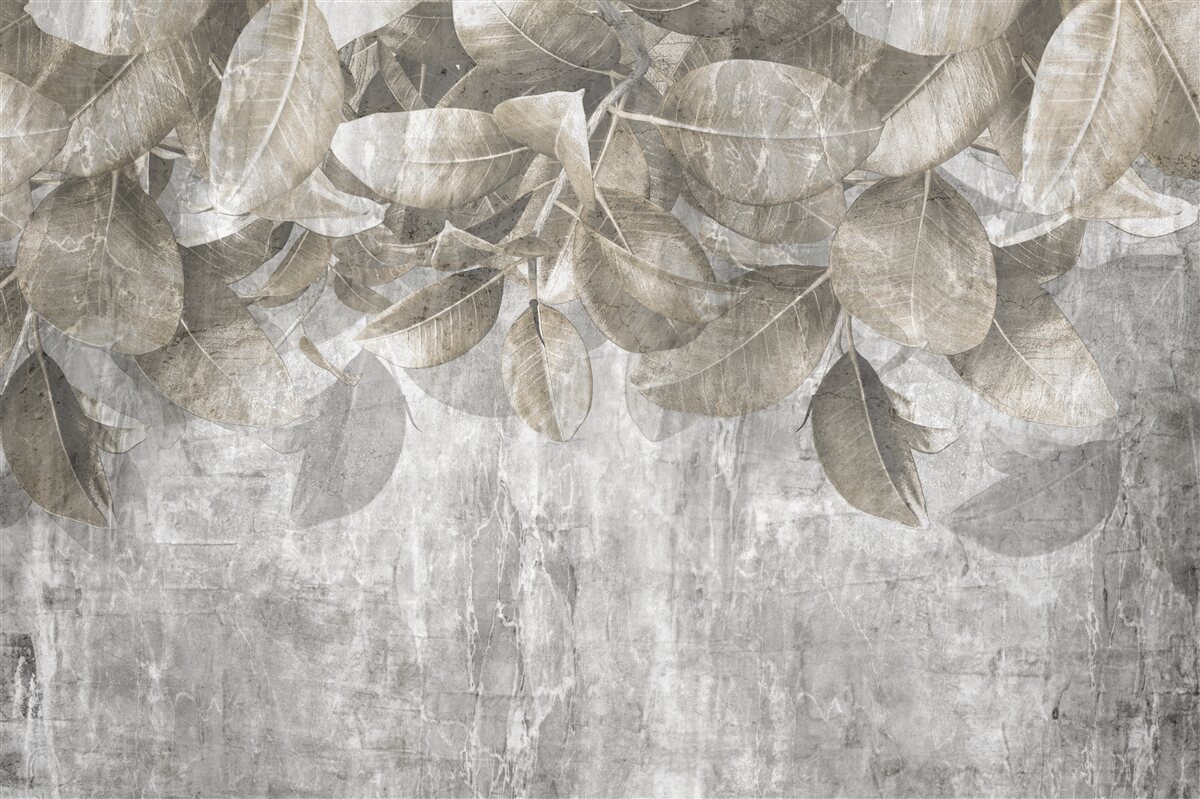 Фотошпалери листя евкаліпта опадає на землю