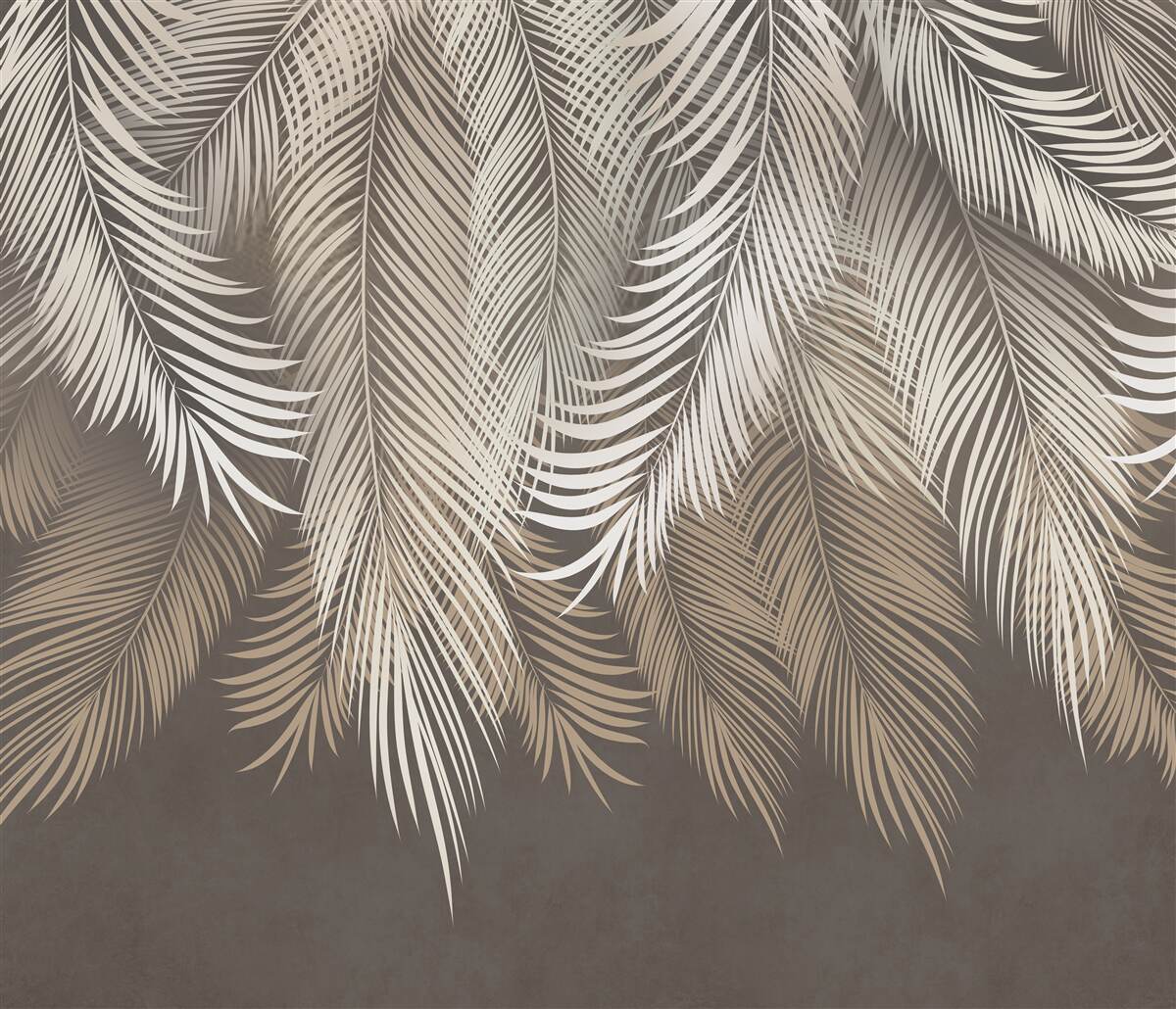 Фотошпалери листя папороті, витягнуті